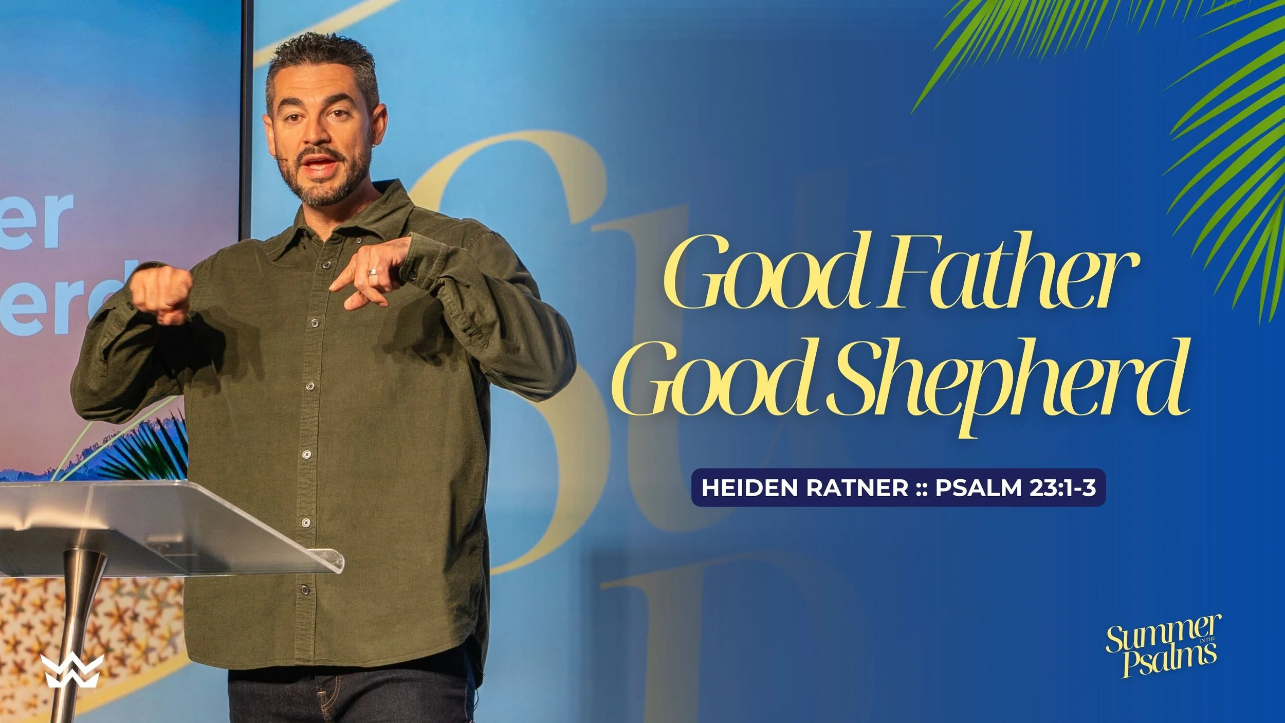 Video Media — HEIDEN RATNER