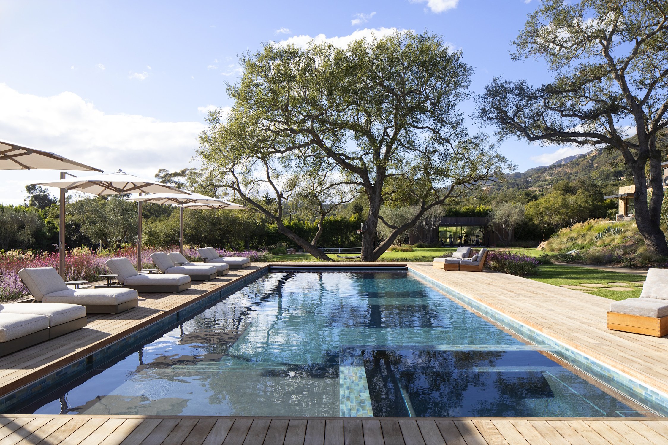 A Clear Pool on a sunny day under the trees.