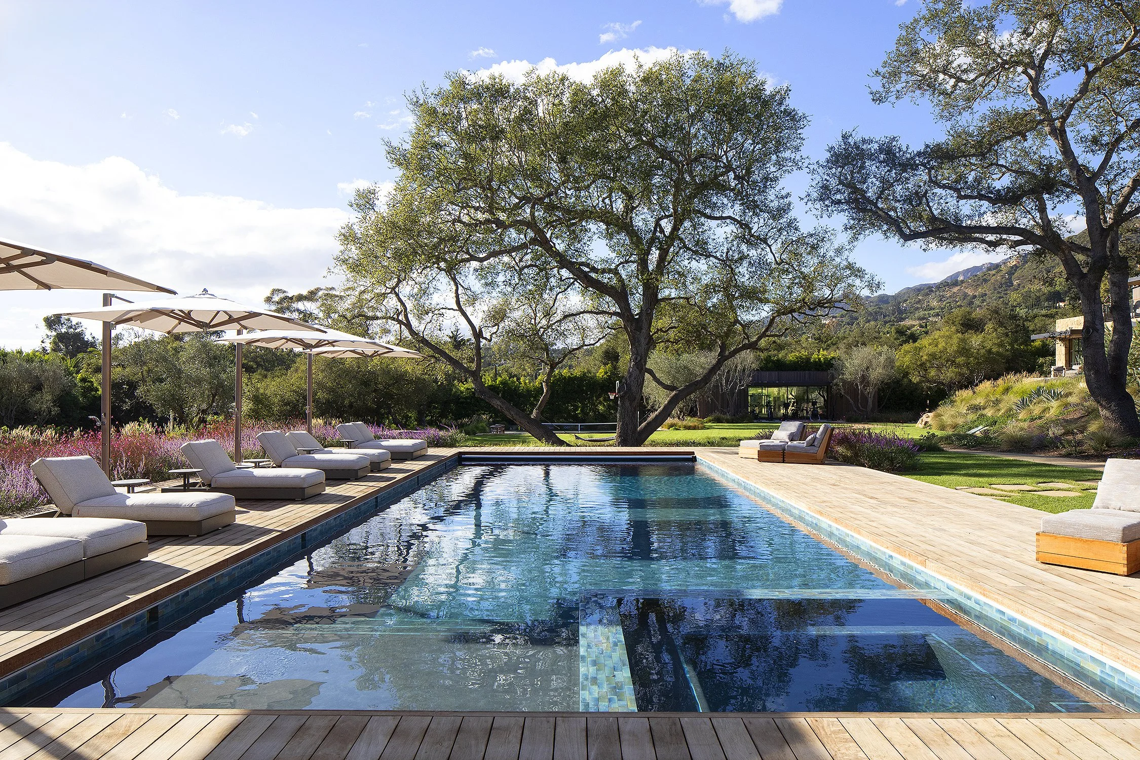 view of pool with massive tree framing up the far side of the end of the pool with white chairs and umbrellas for laying out 