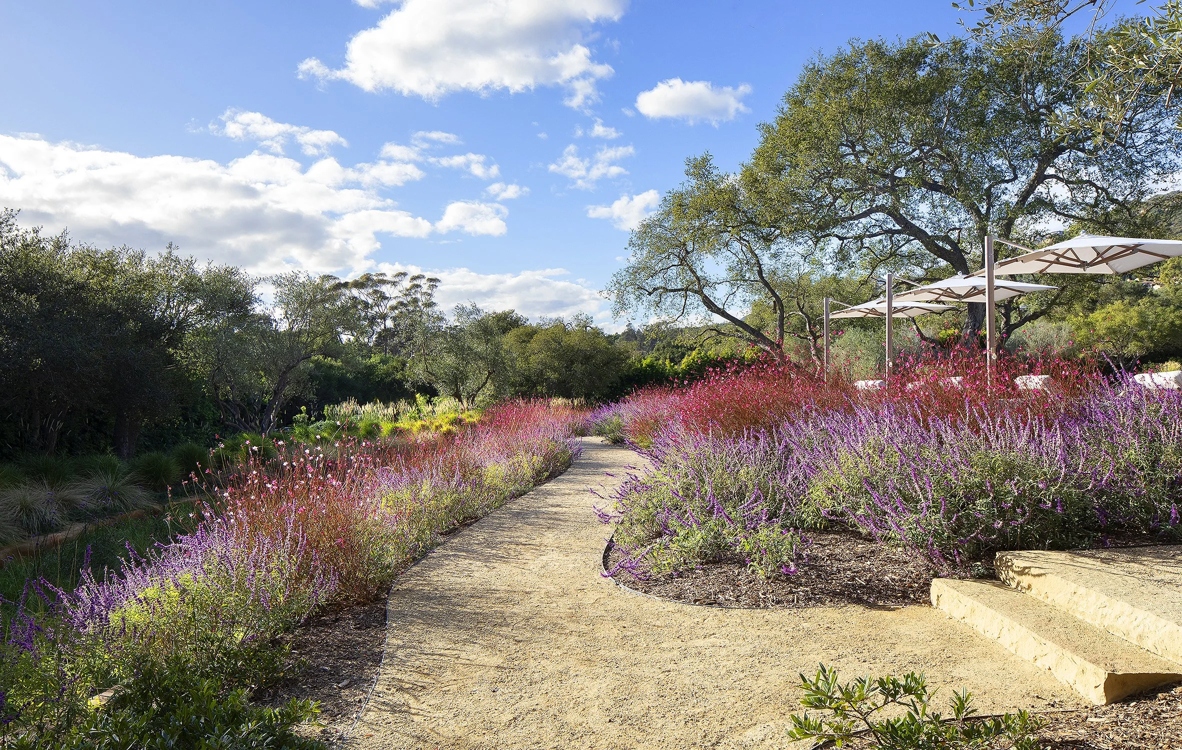 pebbled walkway on a Montecito property with beautiful magenta and purple flora surrounding it