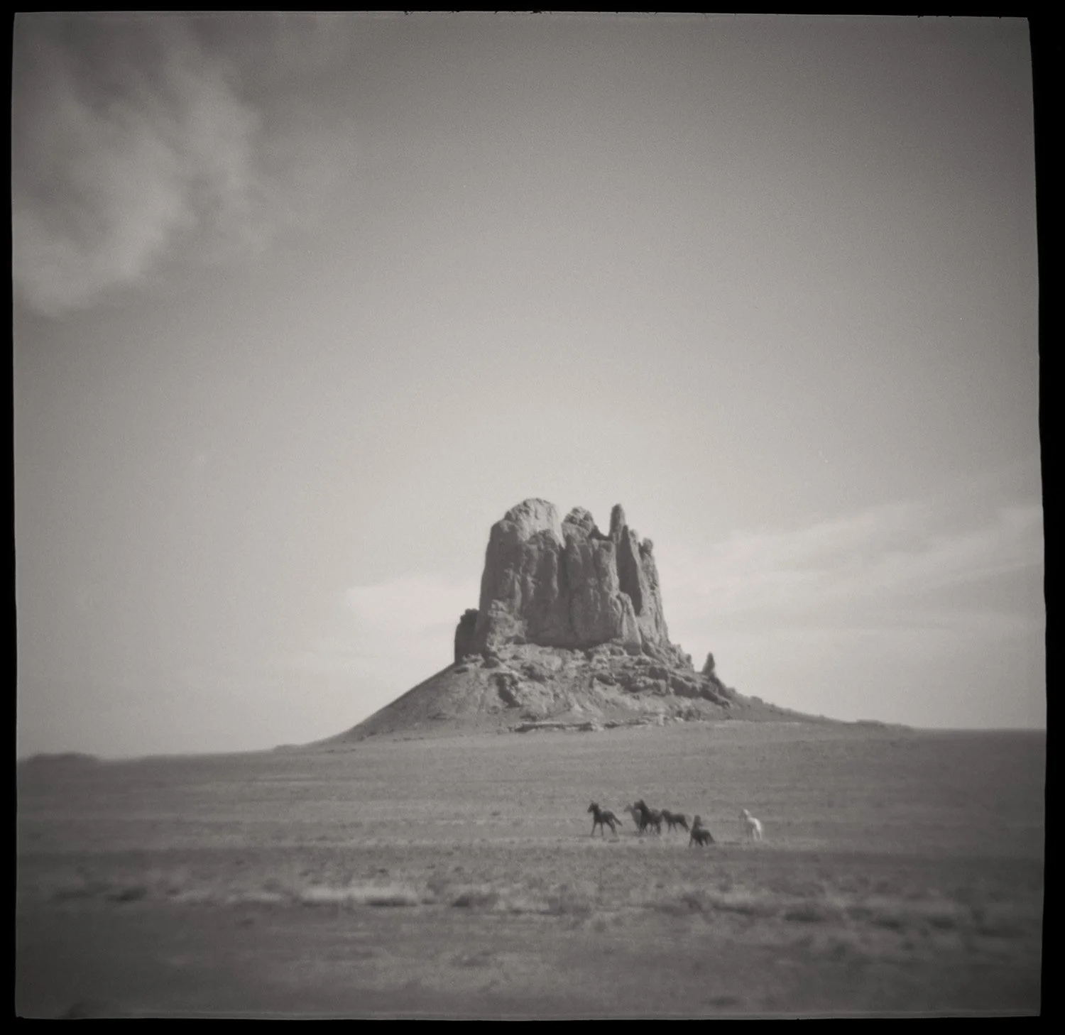 Wild horses running with Shiprock in the background Shiprock New Mexico