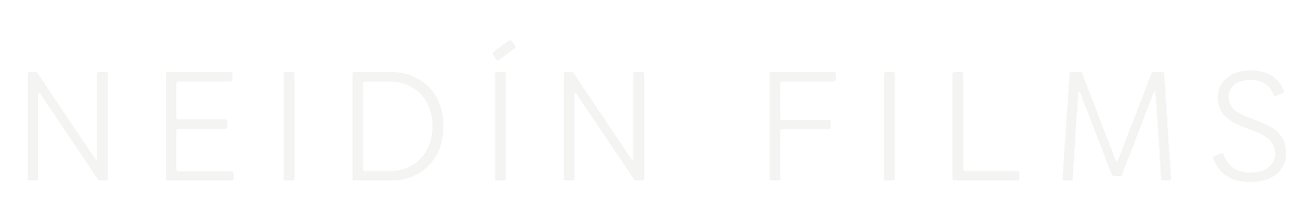 Wedding videographer Wicklow Ireland