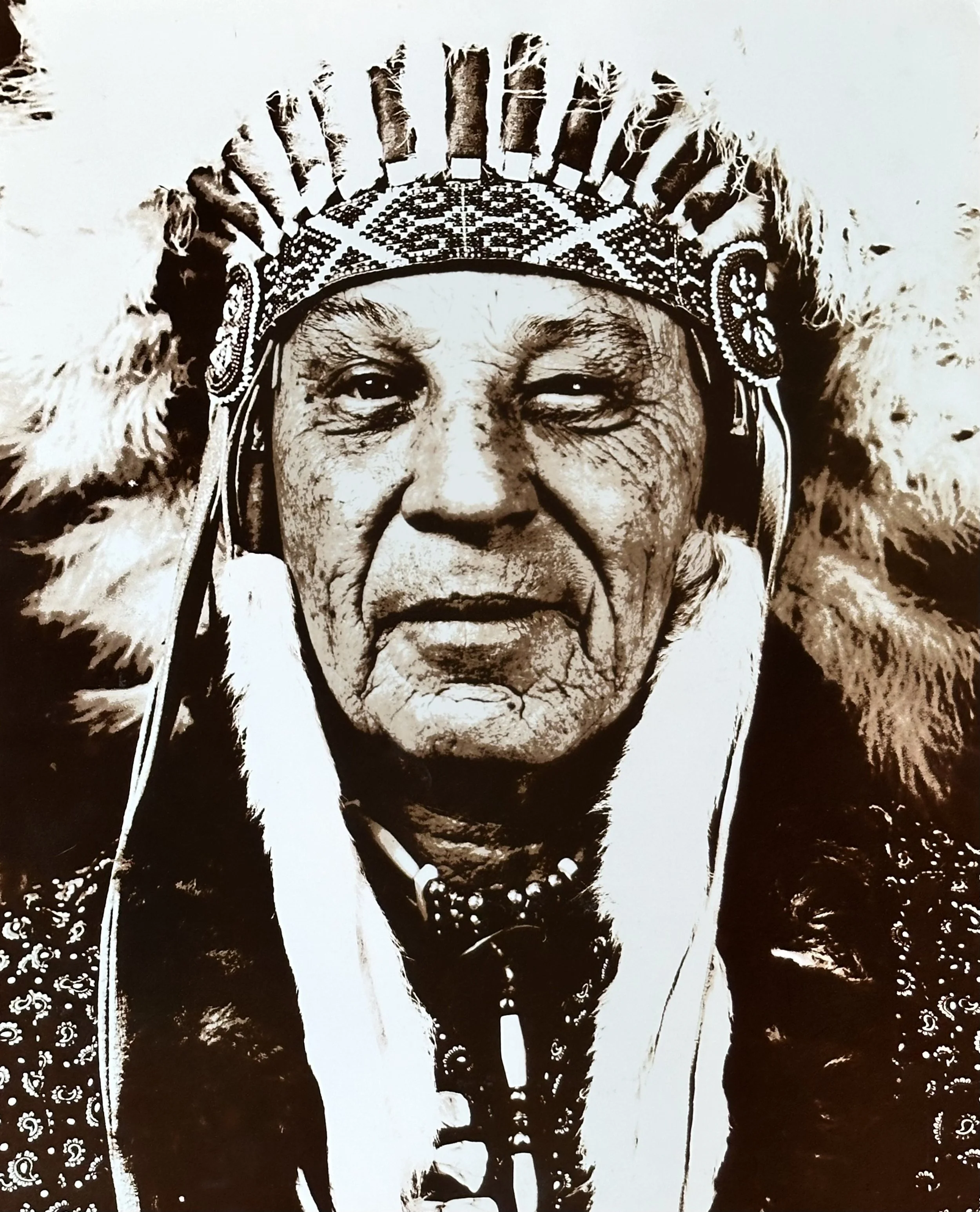 Kate Burroughs - 1980- posterization