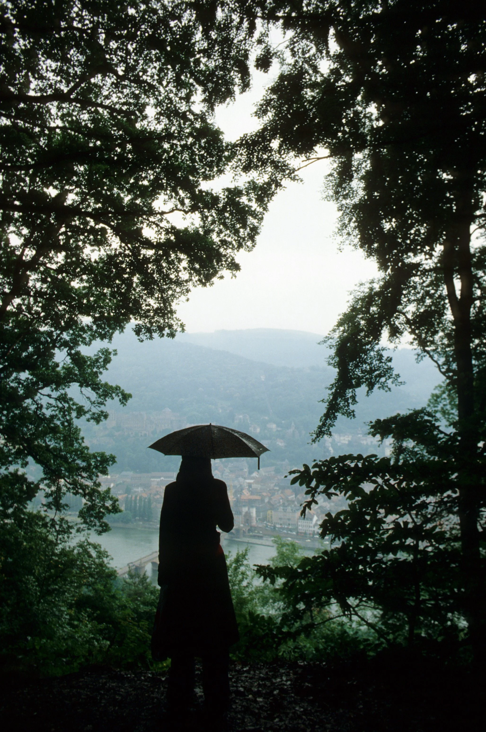 More rainy days here in Paris