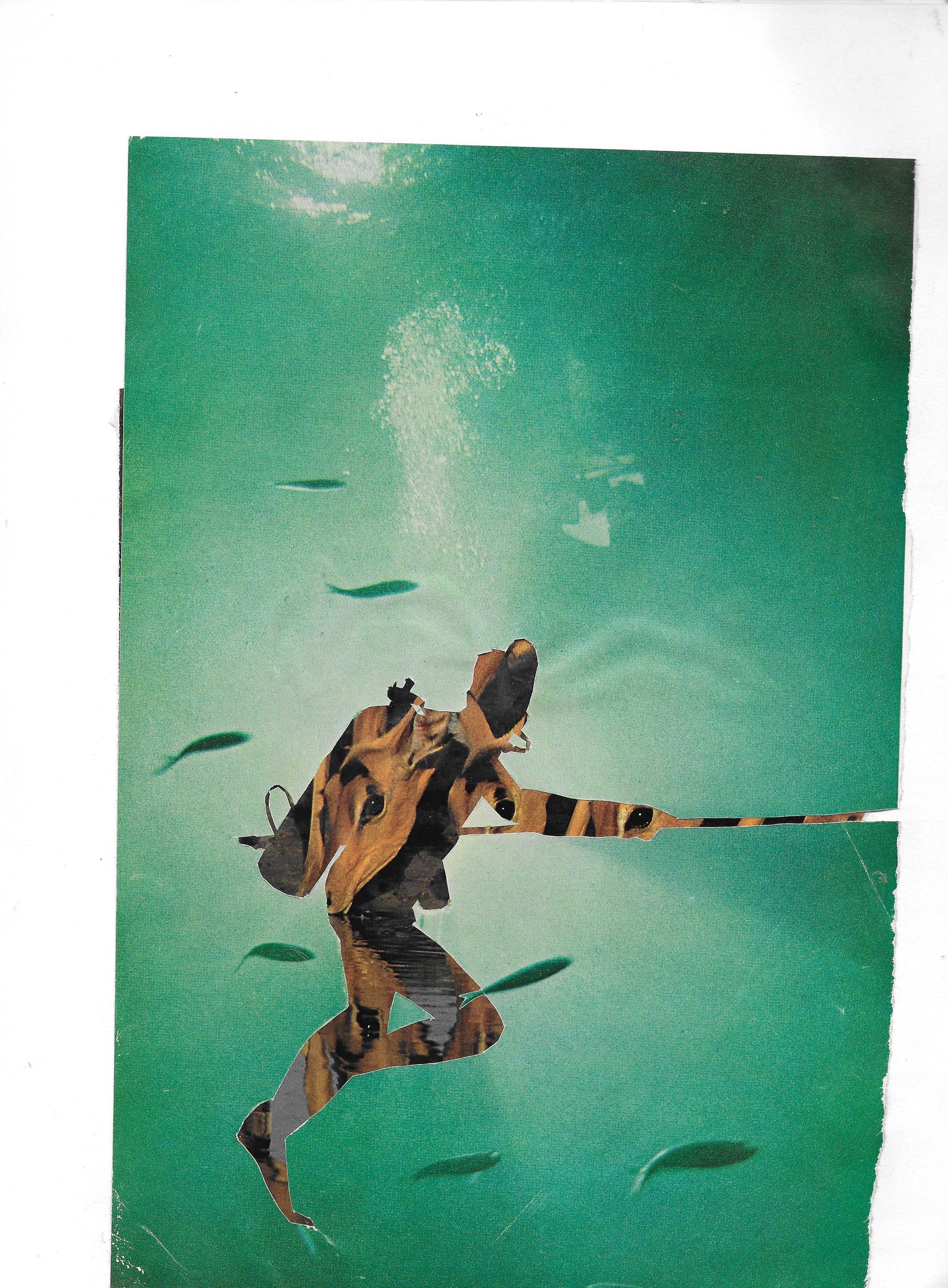 PhotoCollage Deux_17.jpeg