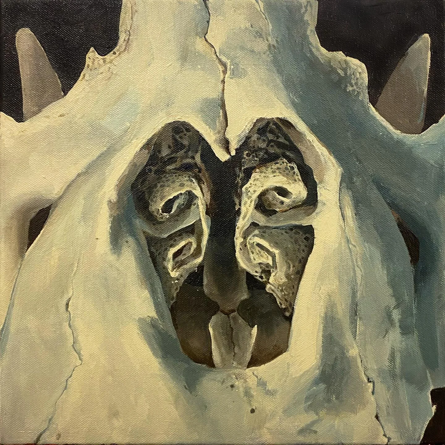 nasal cavity study from a skull i saw a million months ago!! tried using a limited palette of unbleached titanium, burnt umber and windsor blue ! 

.&bull;. 
#art #illustration #drawing #sketch #sketchbook #artist #artistsofinstagram #artist #paintin