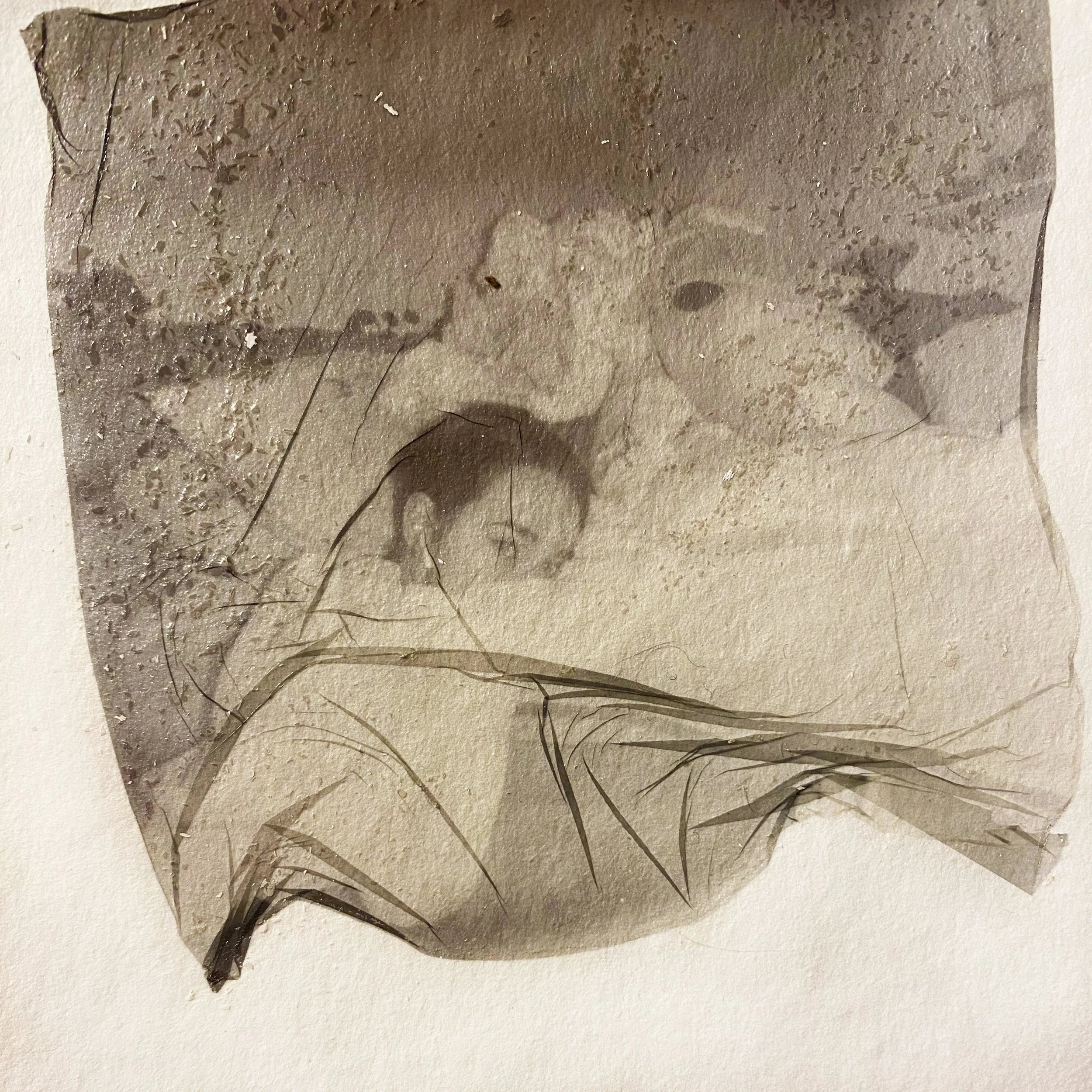 What am I but Just an Image to your Eyes?
Polaroid emulsion on somerset (2020)
