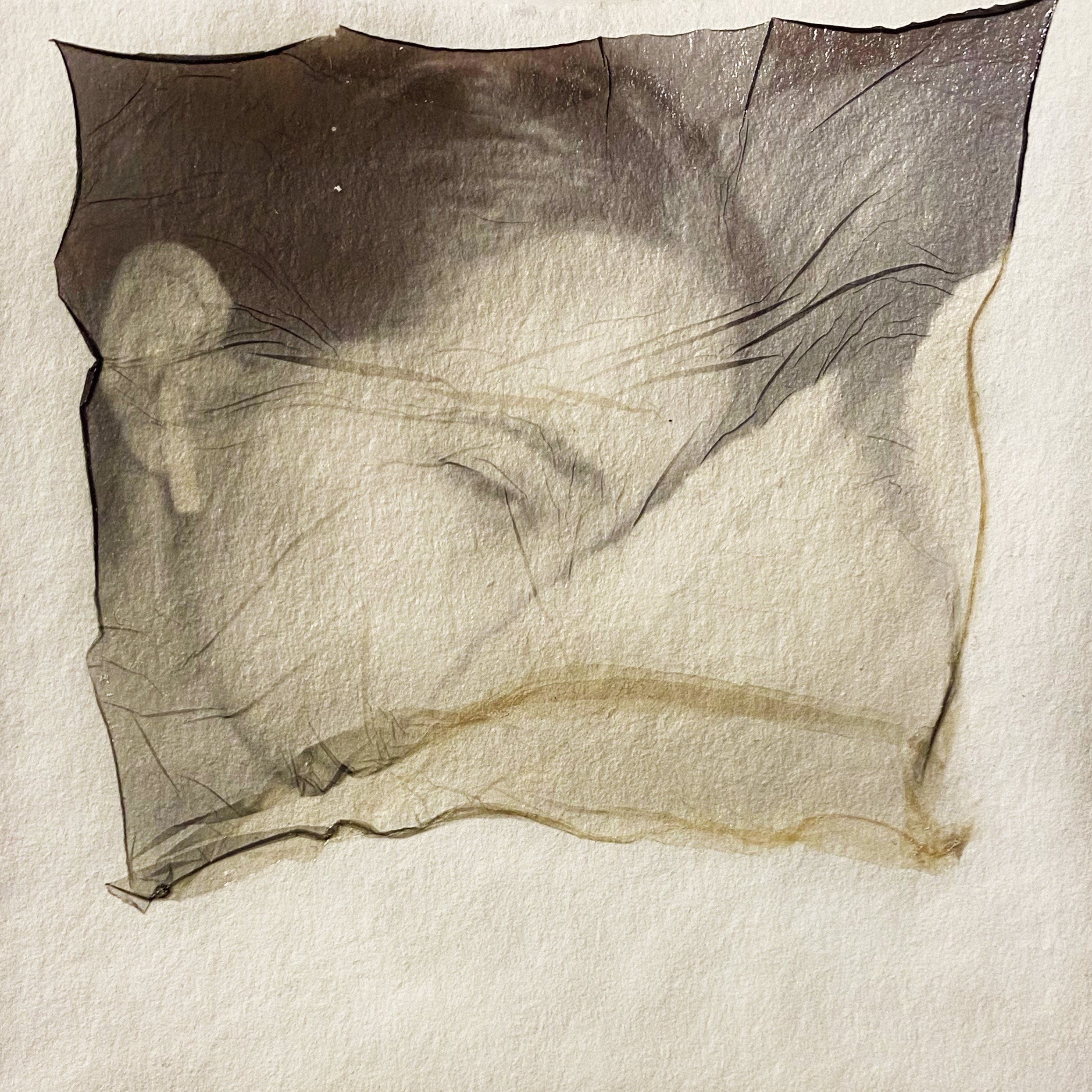 What am I but Just an Image to your Eyes?
Polaroid emulsion on somerset (2020)