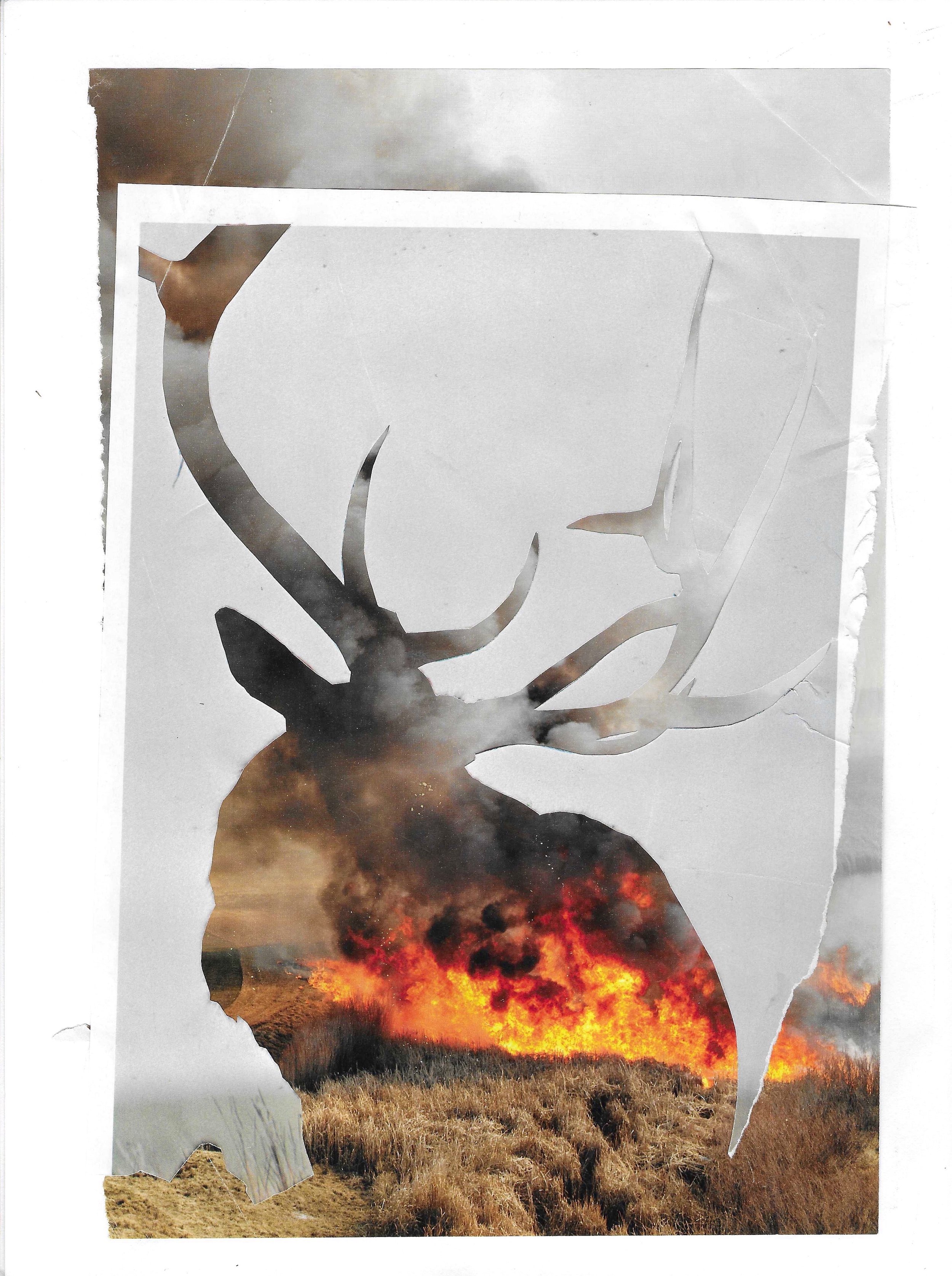 PhotoCollage Deux_2.jpeg