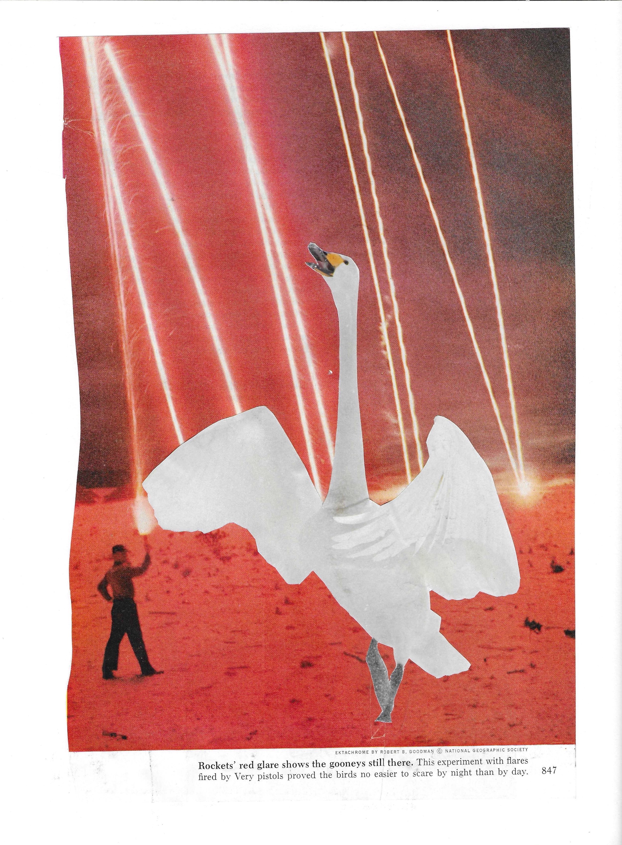 PhotoCollage Deux_42.jpeg