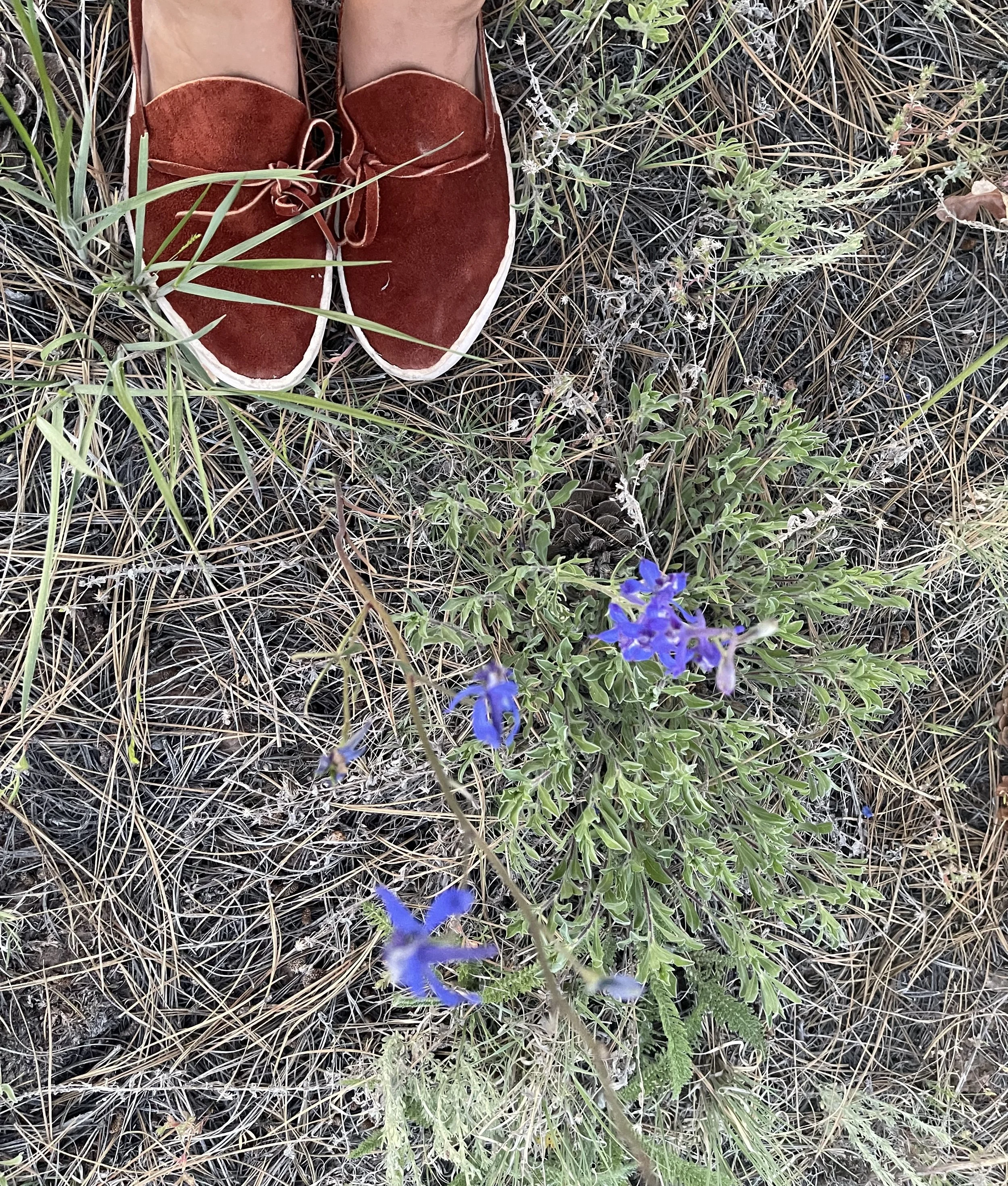 IMG_1667.jpeg