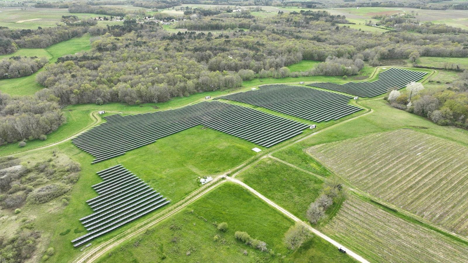 WhatsApp Image 2024-04-06 at 08.59.33.jpeg