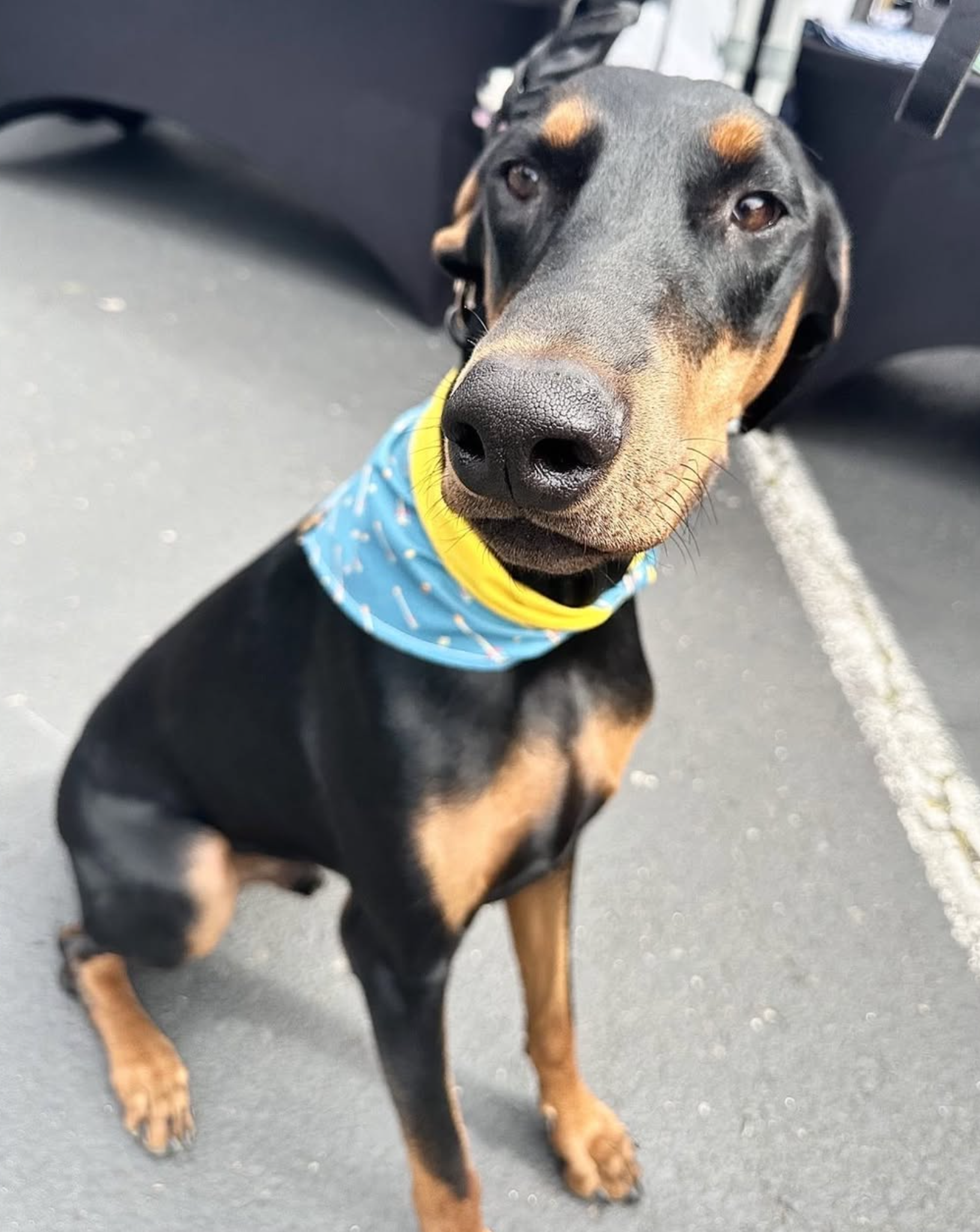 Screen Shot 2025-10-21 at 1.17.17 PM.png