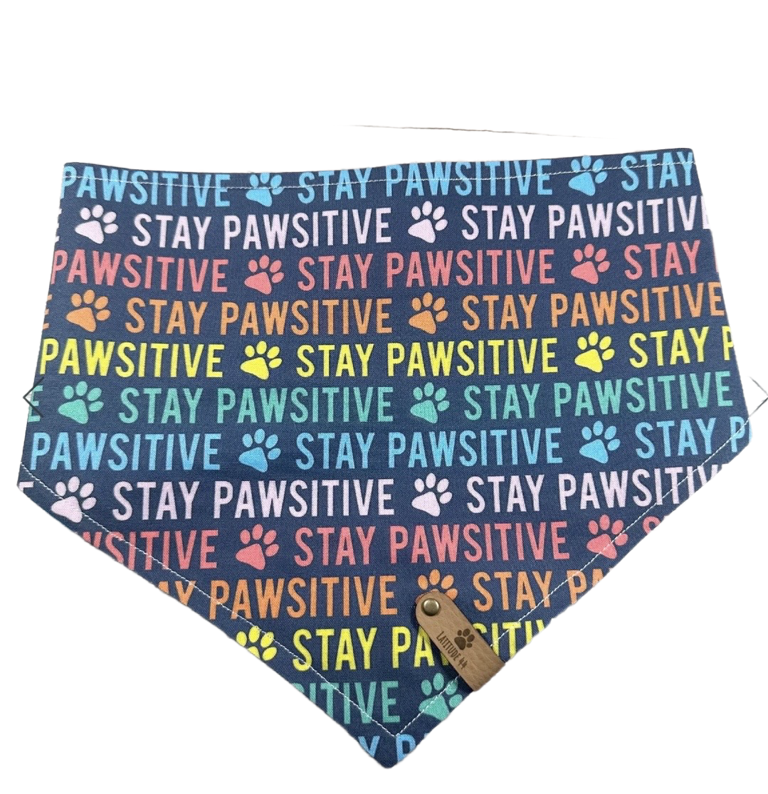 Stay Pawsitive