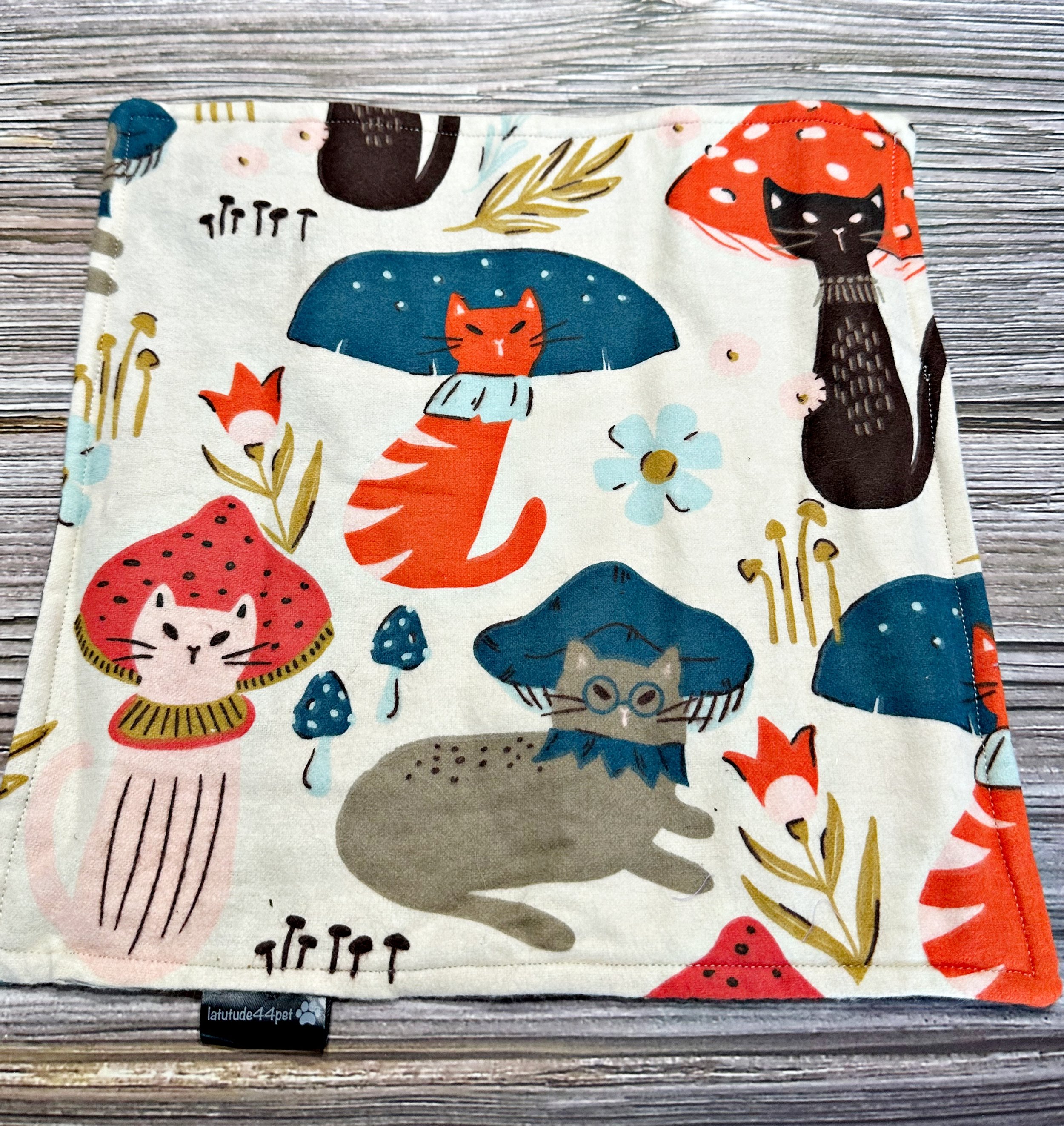 Mat brown cat 2.jpg