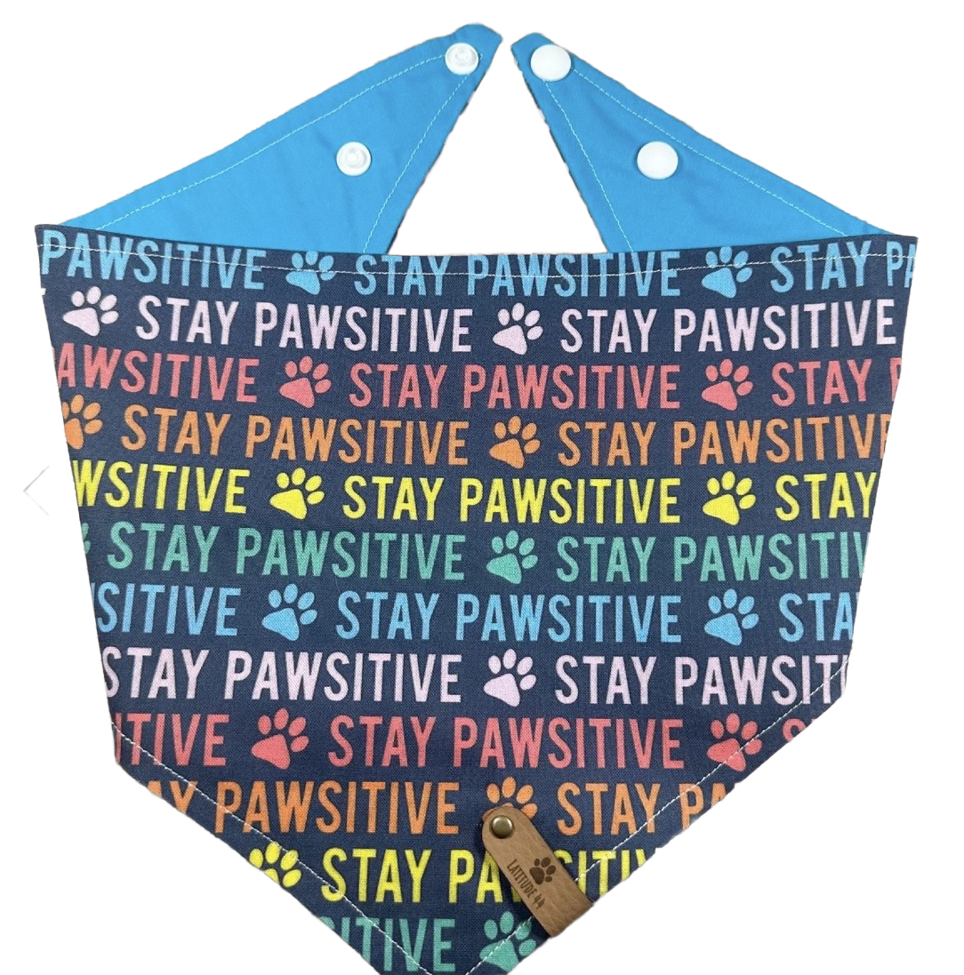 IMG_0705.png