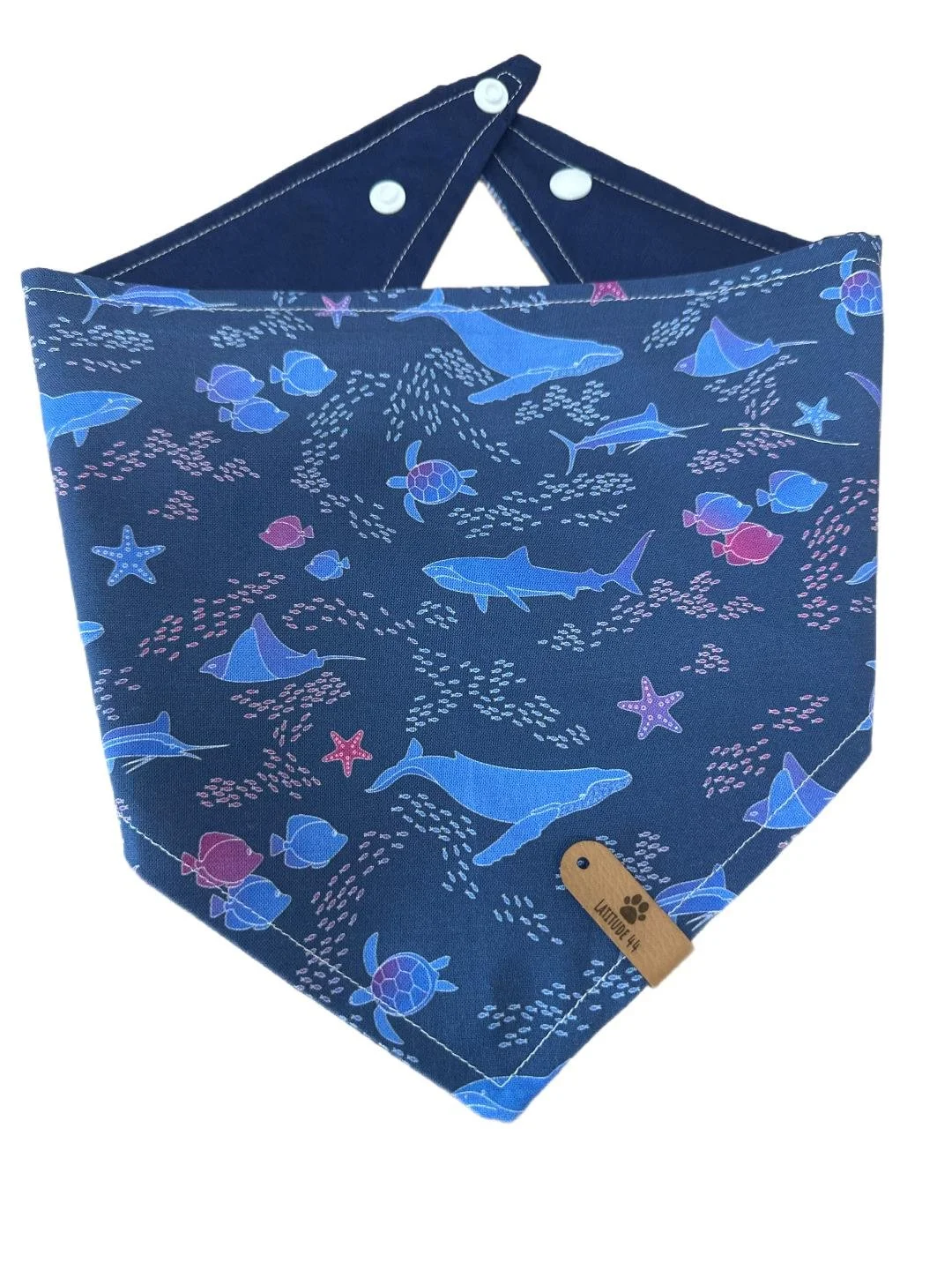 sealife pastle 2.jpg