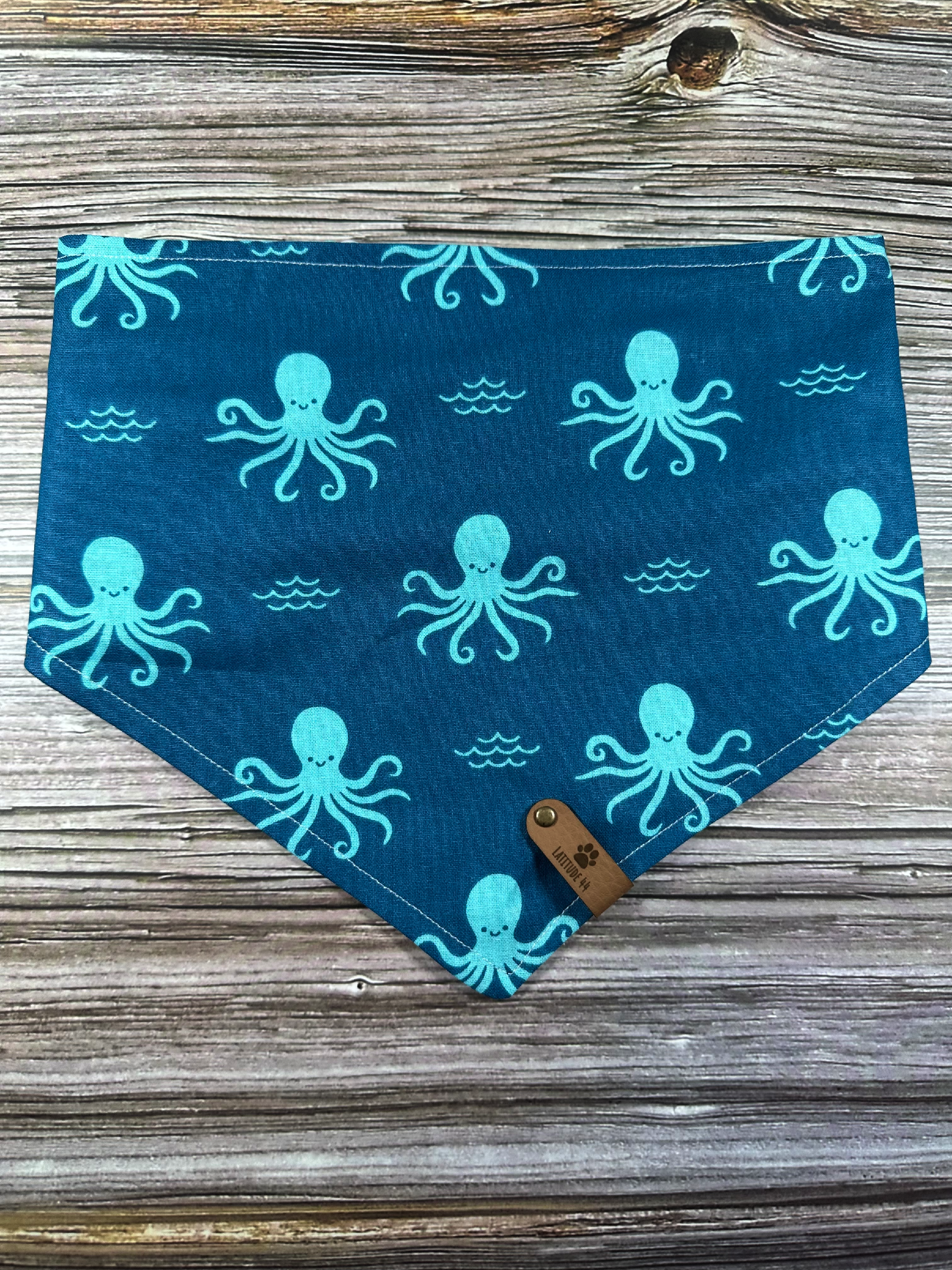 Octopus in Turquoise