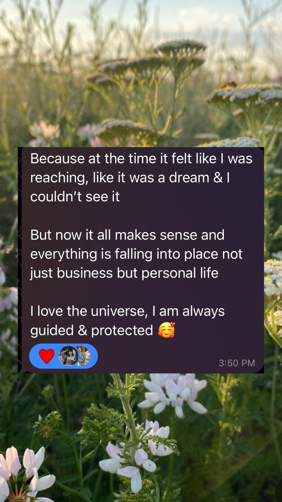 testimonialshighlights (4).png