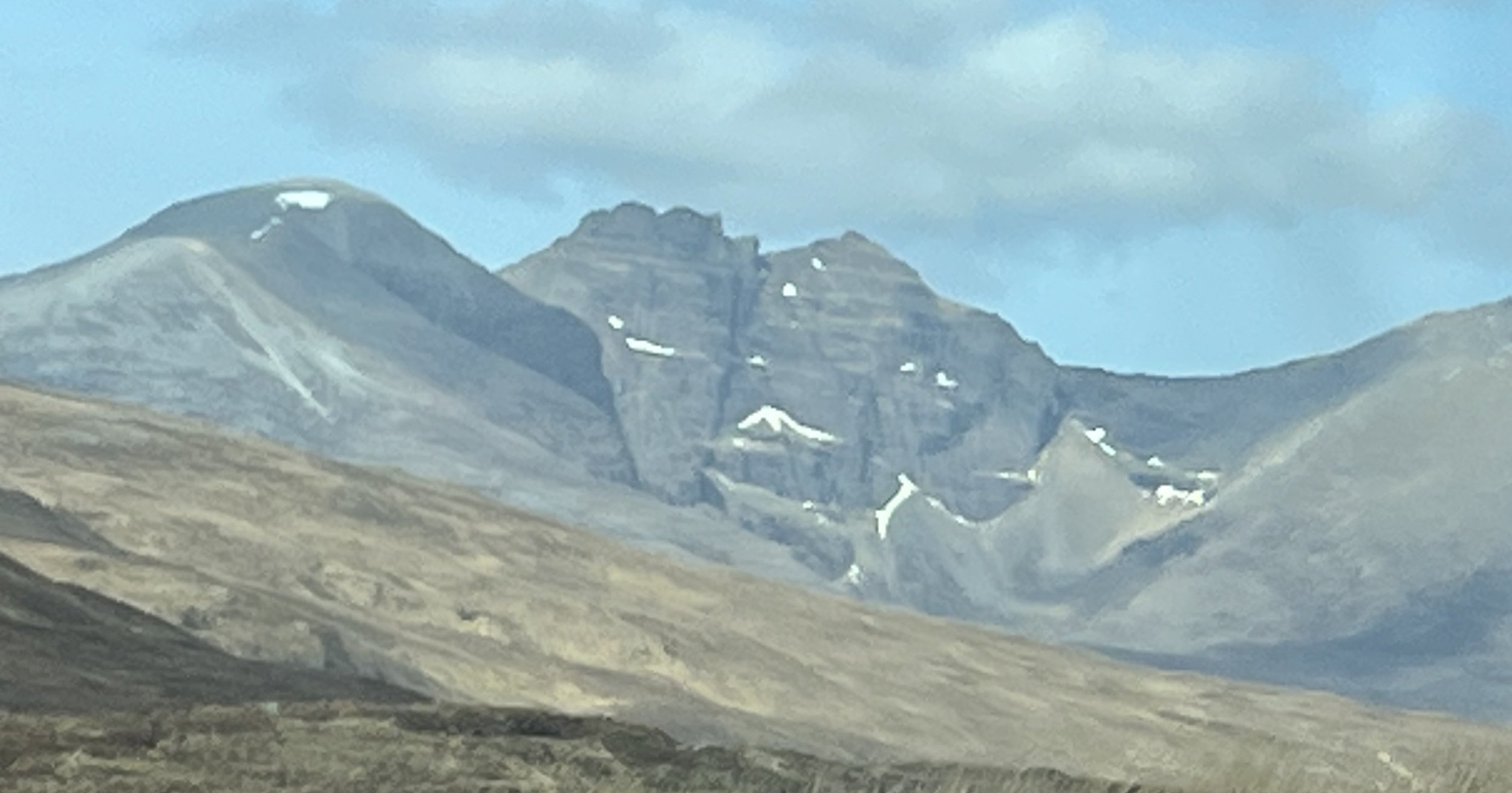 IMG_7339.jpeg