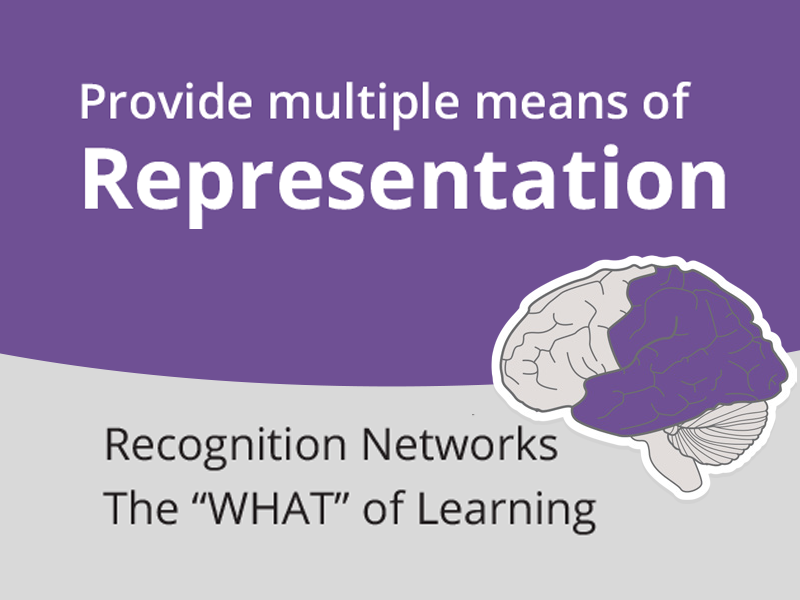 Multiple Means of Representation