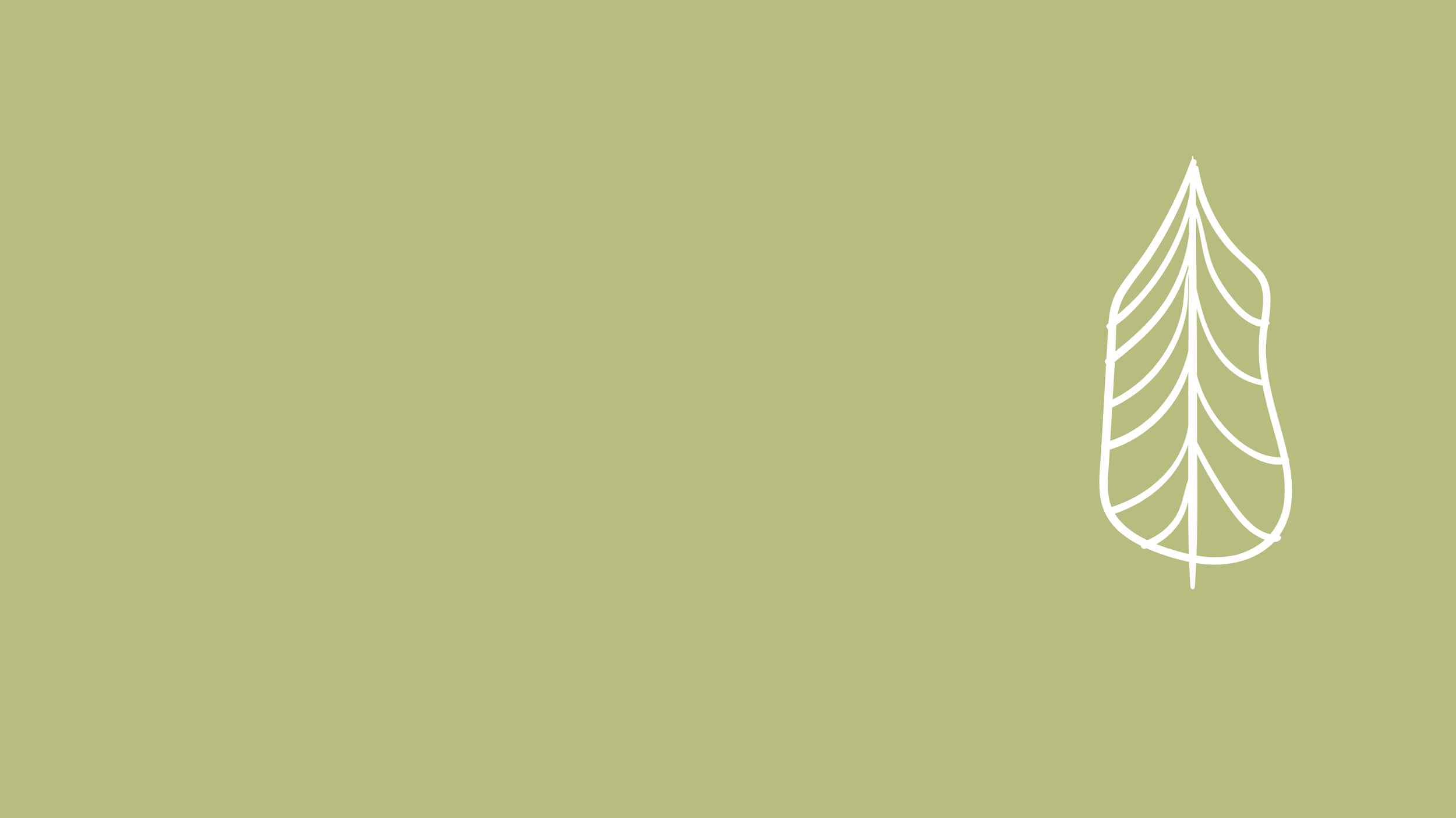 La Forêt Collective