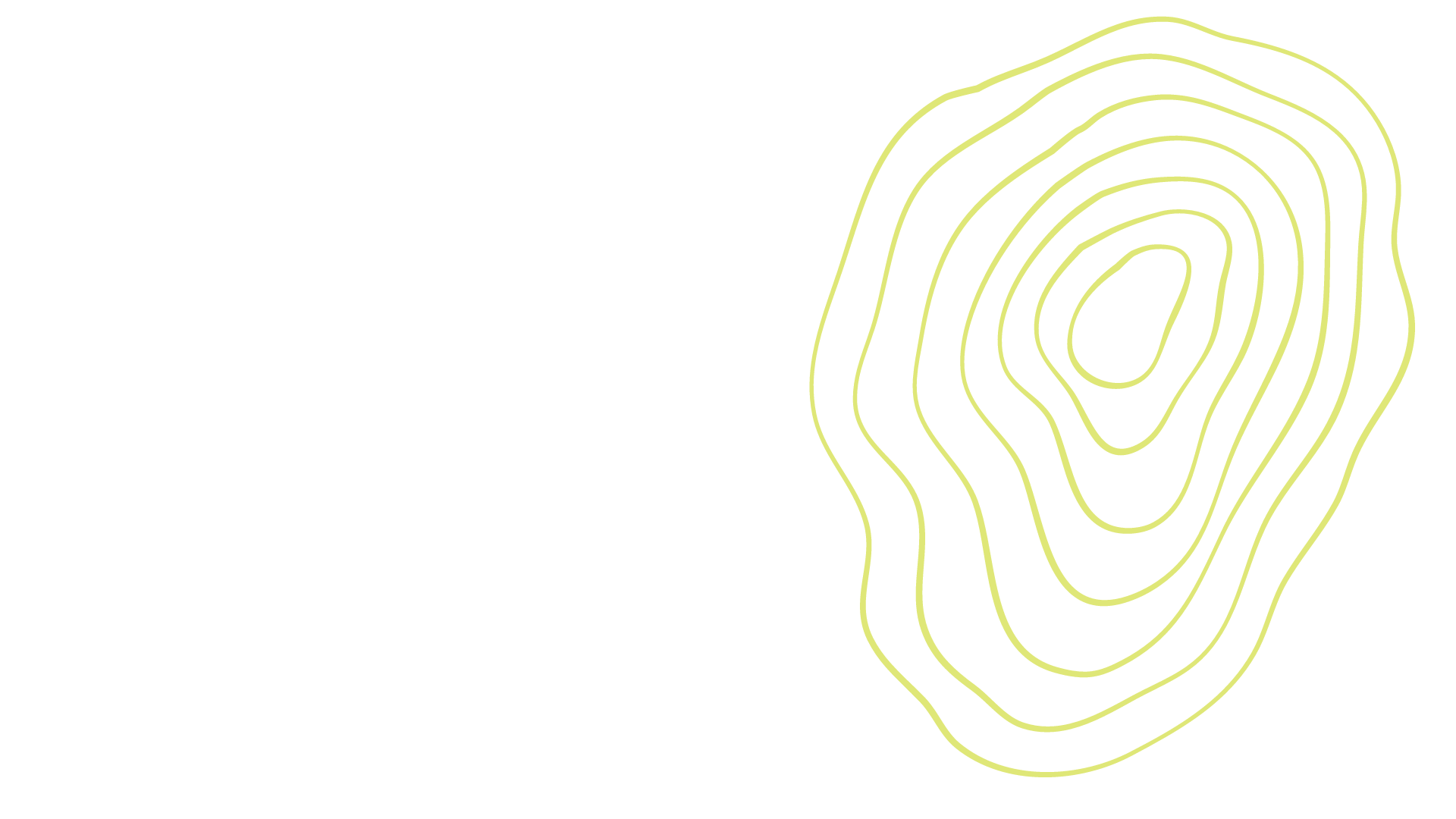 to your forest — La Forêt Collective