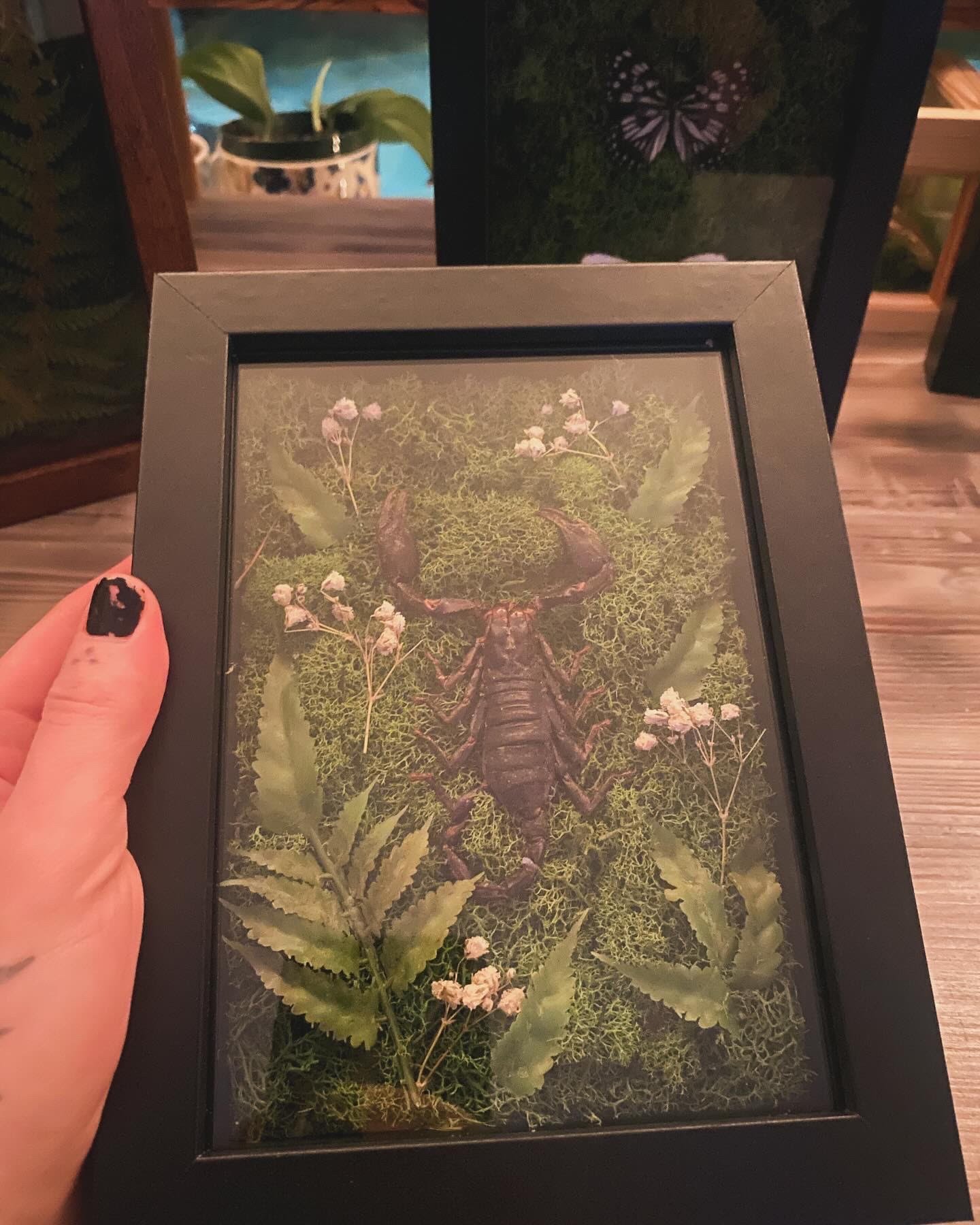 Scorpion Display