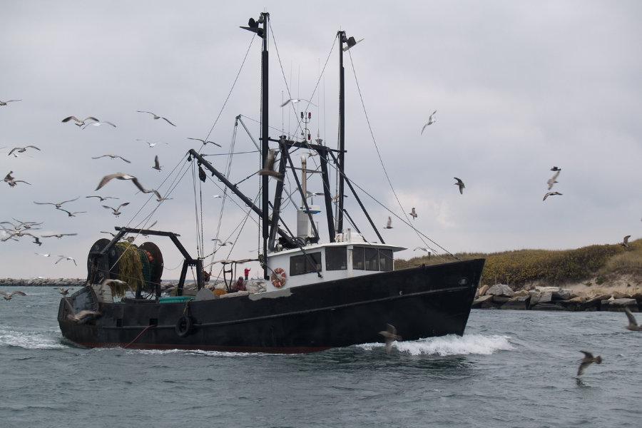 Commercial Fishing Boat Insurance.png