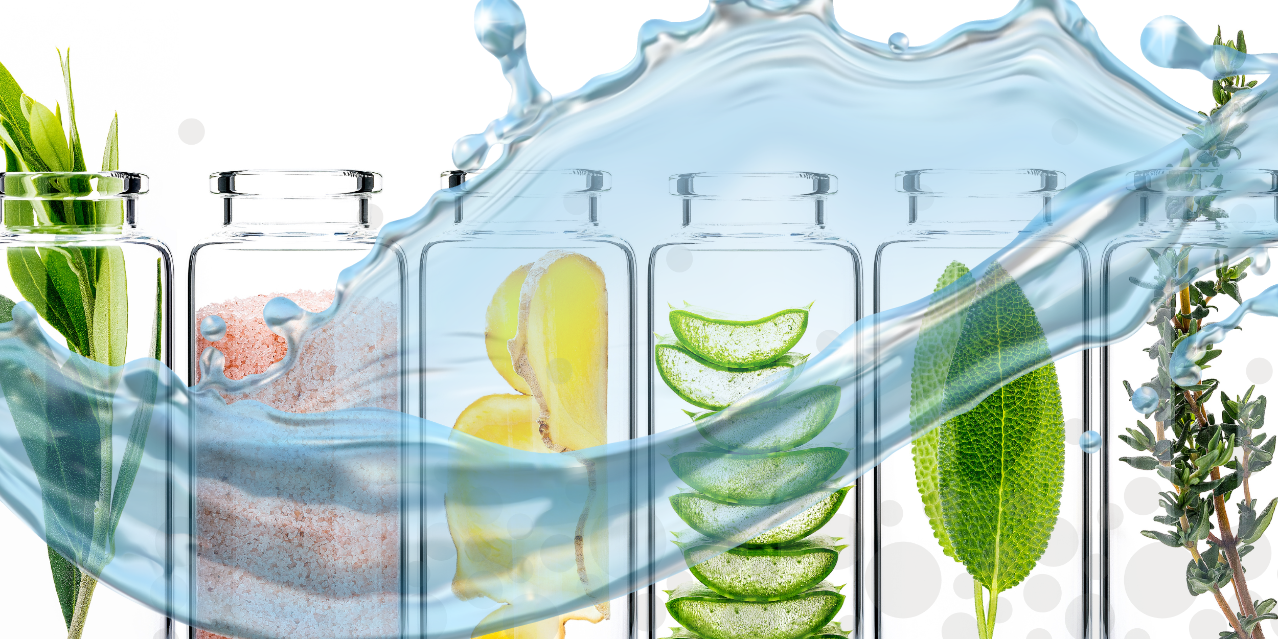 Web_Carousel_Final_Cleanse (1).png