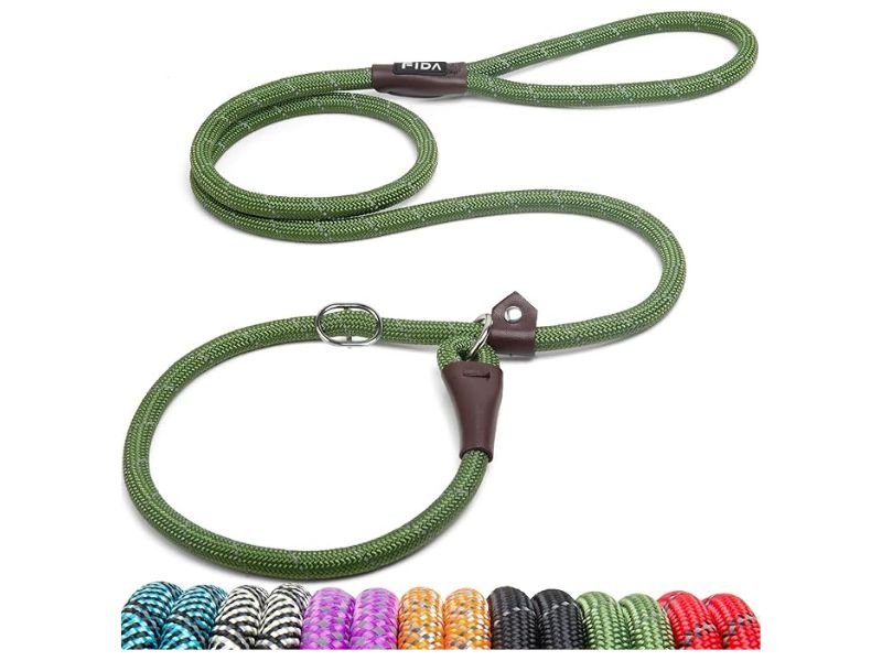 Green dog lead leash