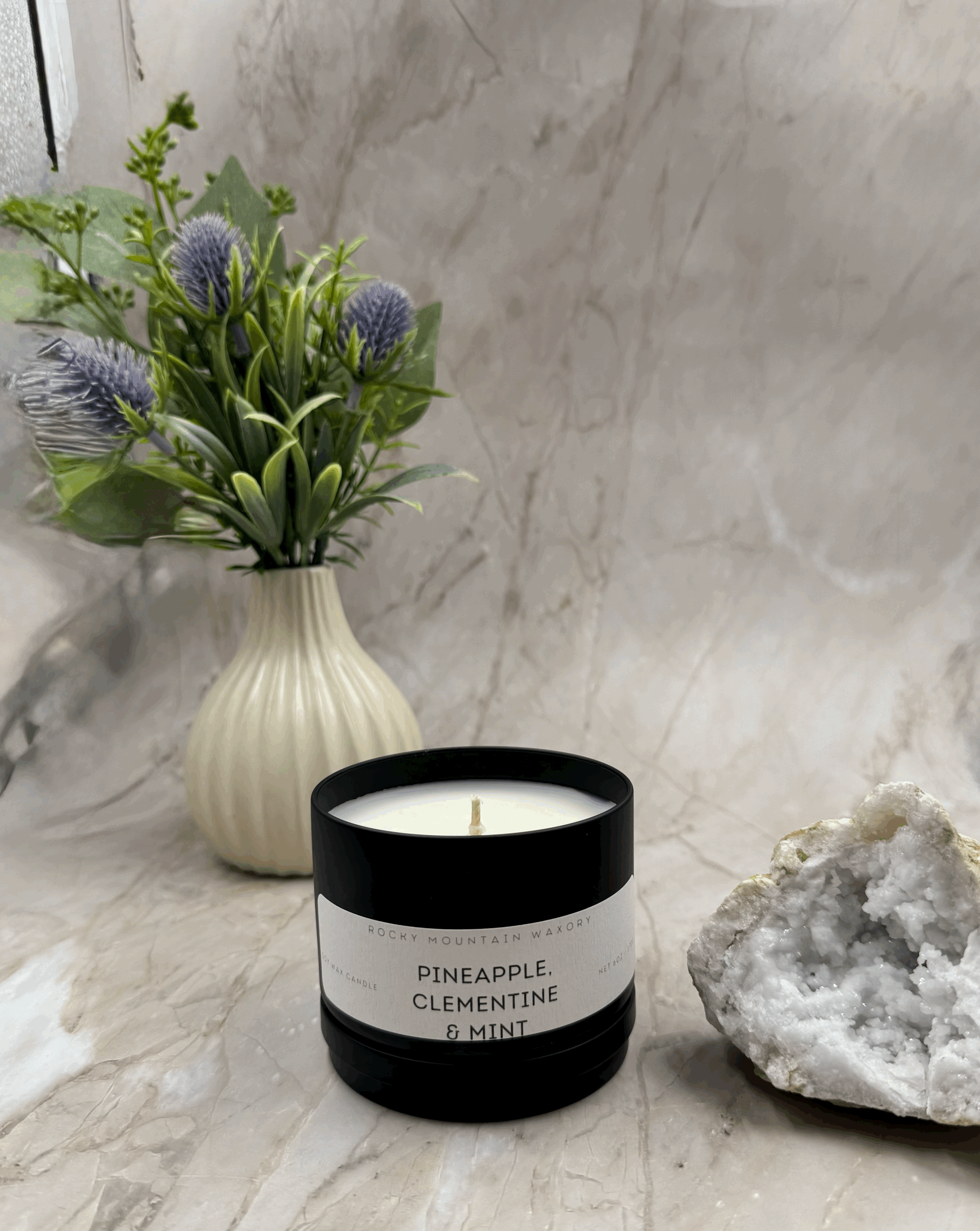 Pineapple, Clementine & Mint - 6 oz Candle Tin