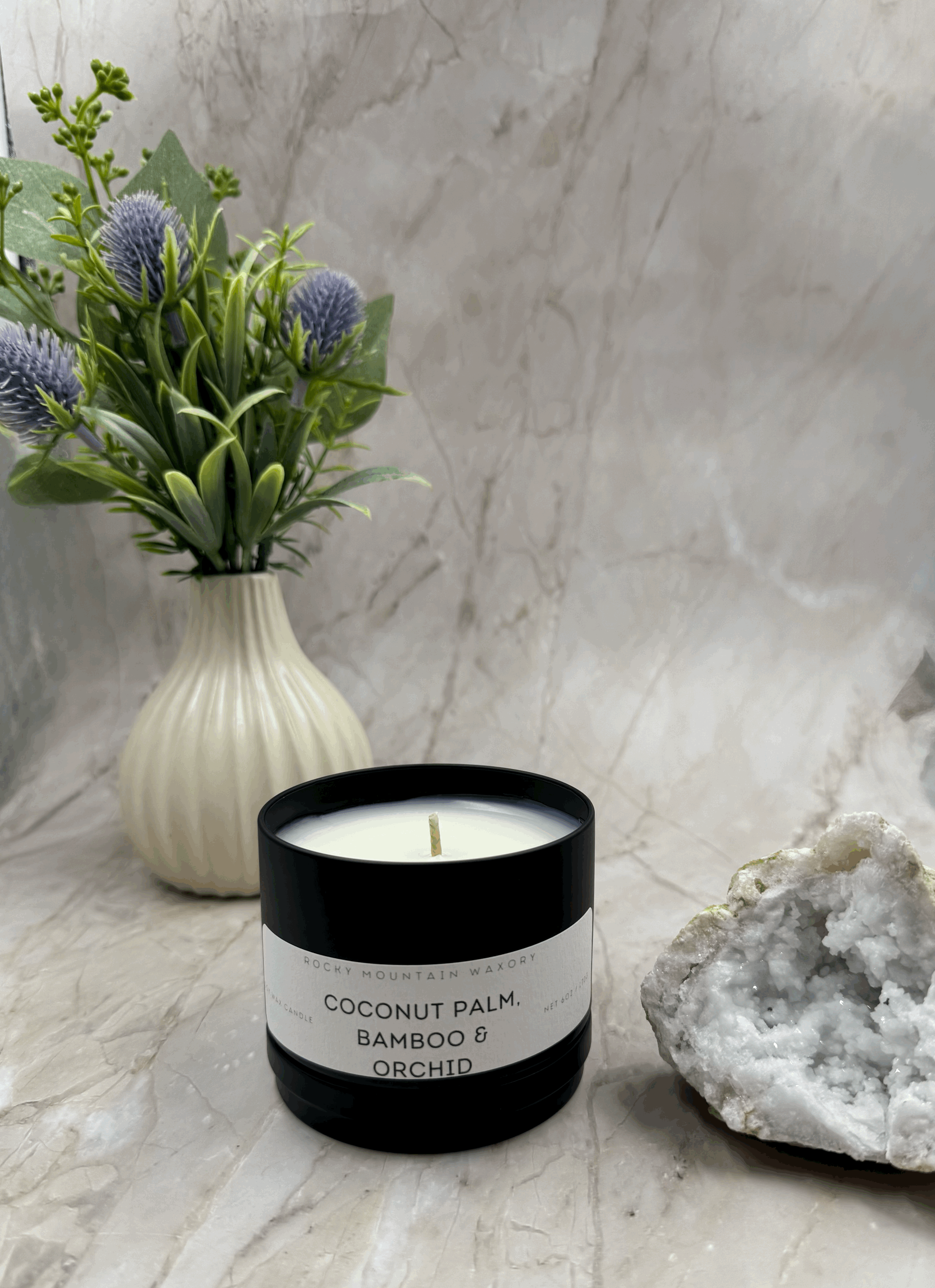 Coconut Palm, Bamboo & Orchid - 6 oz Candle Tin