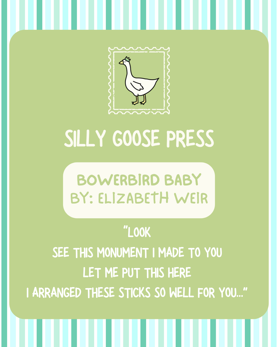 Bowerbird baby