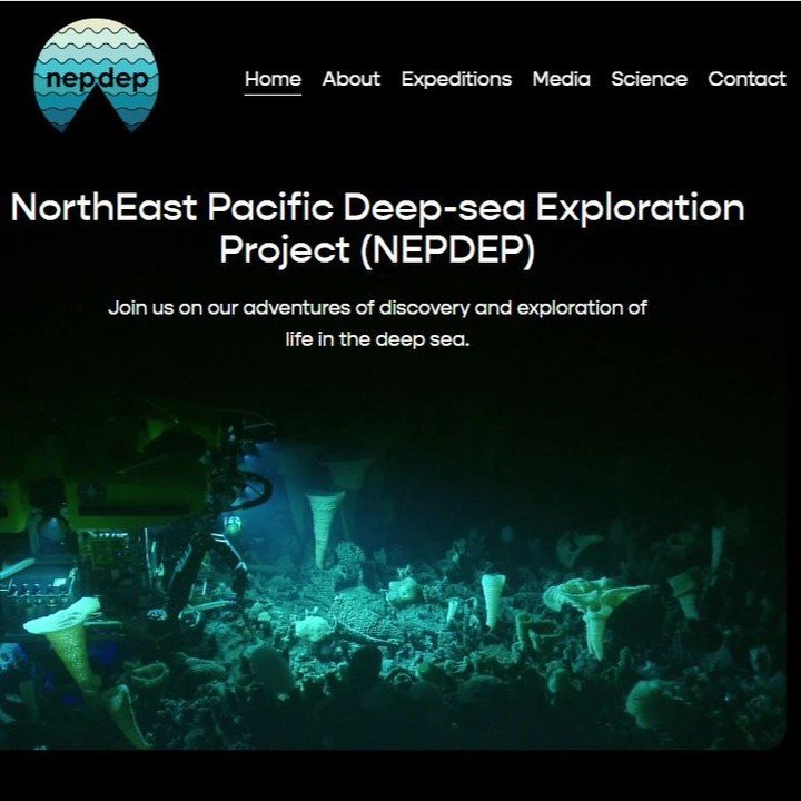 We have website! To learn more about our @UNOceanDecade and @challenger_150 endorsed action please visit http://nepdep.com!