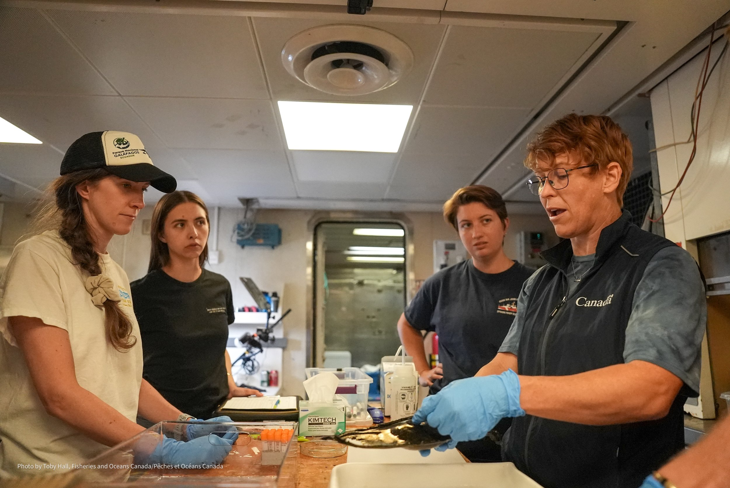 In the ship-based laboratory we take measurements, photographs, and do dissections of the egg cases. Here the sampling team (from L to R) including Georgia Clyde (DFO), Rayne Boyko (CHN), Ashley Nielsen (DFO), and Cherisse Du Preez discuss the sampli