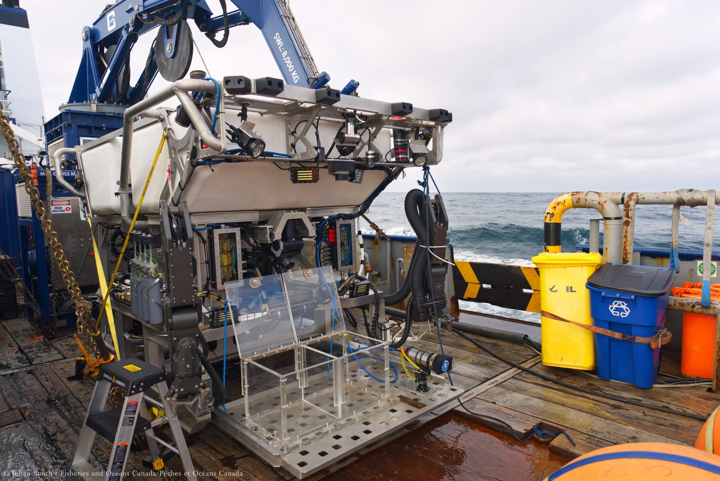 Remotely Operated Vehicle (ROV) Mantis