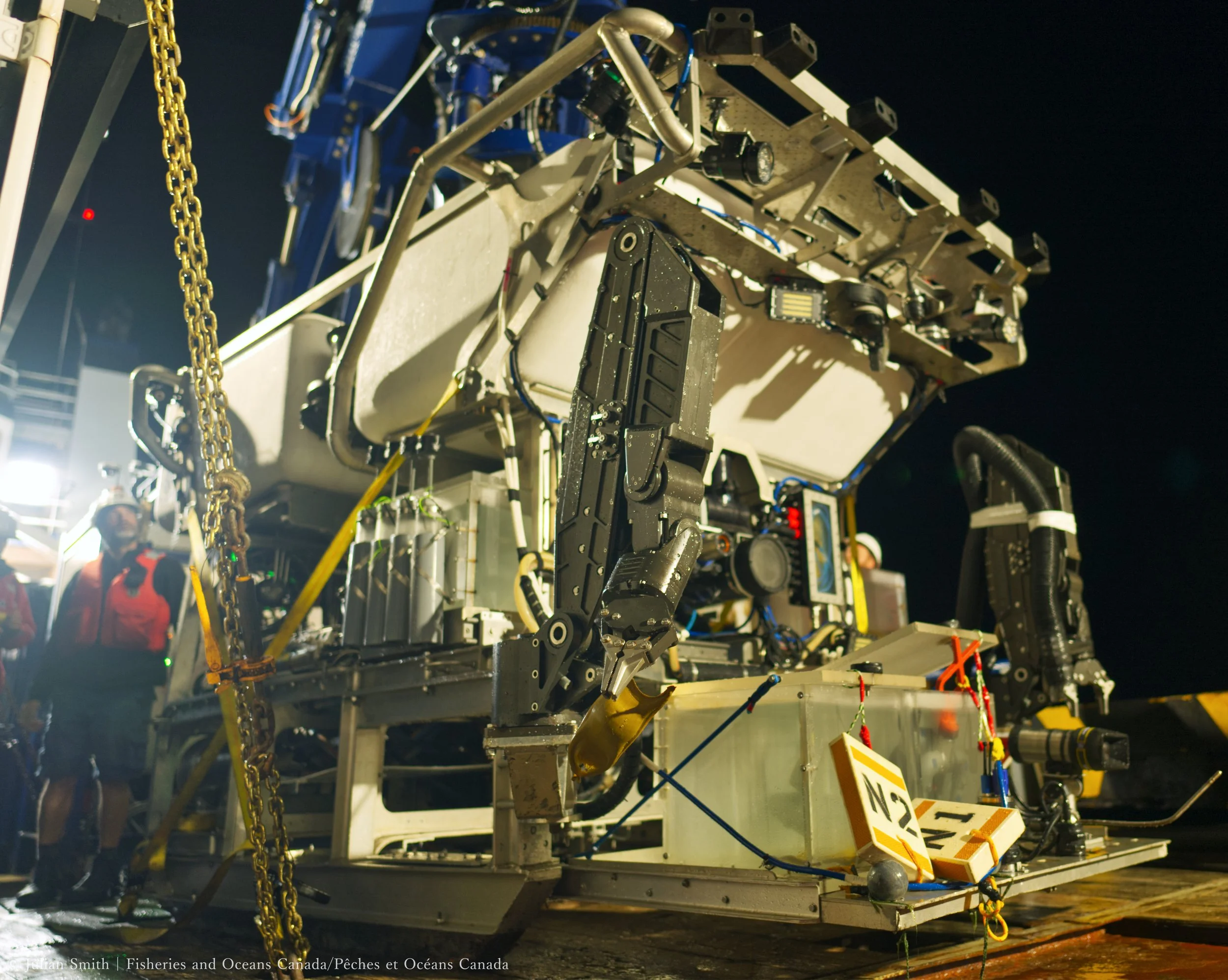 Skate egg got a ride up in the ROV manipulator