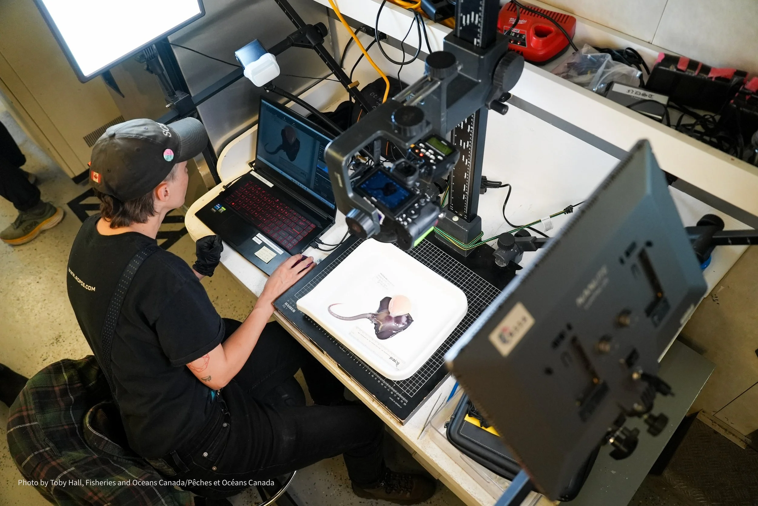 Here our sampling lead, Merlin Best, uses our ship-based photography station to document the development state of the skate embryos.