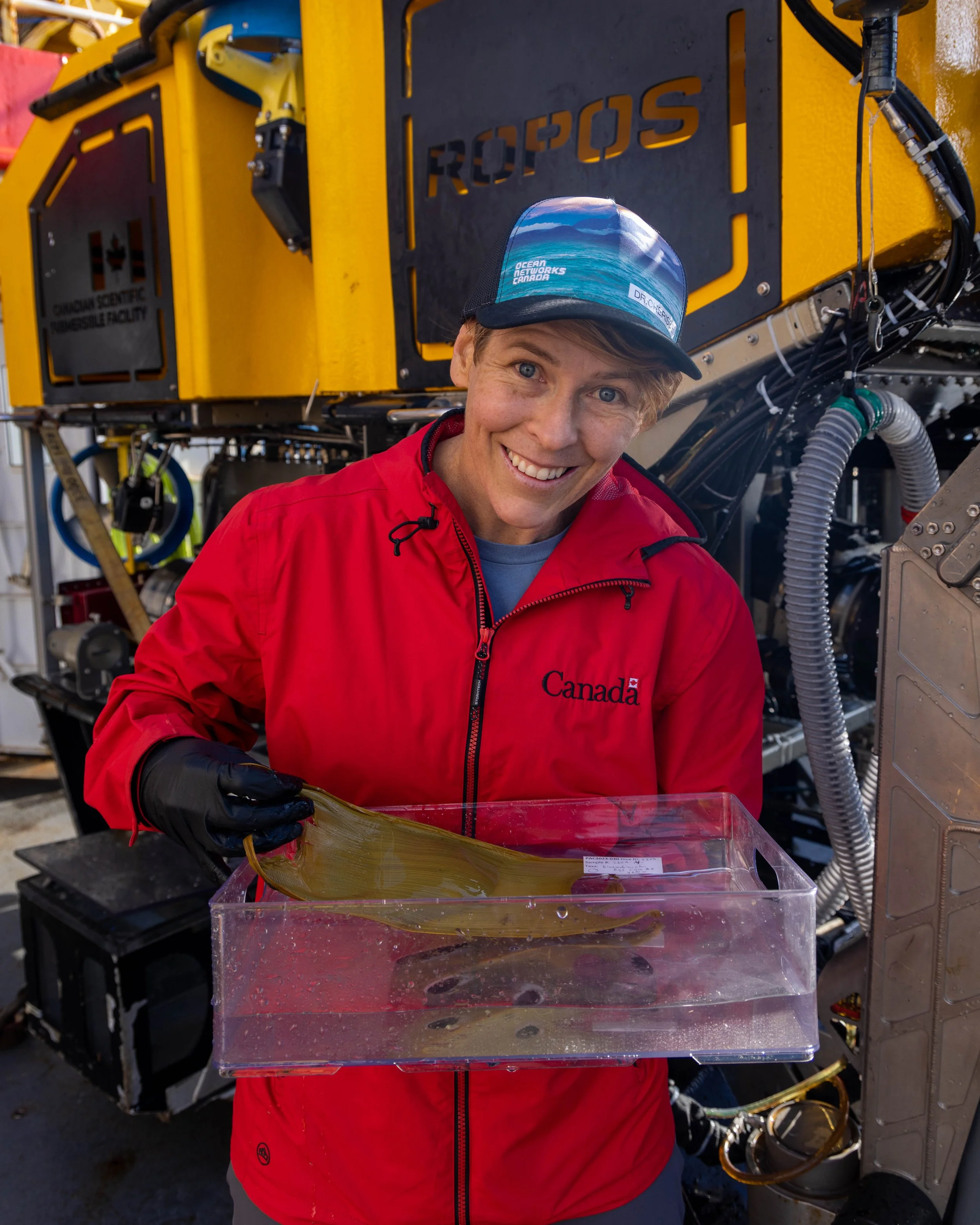 It's pretty incredible to hold a sample collected more than a 1.5 km below the ocean surface! Dr Cherisse Du Preez holds a Pacific White Skate egg case collected by the ROV ROPOS. 