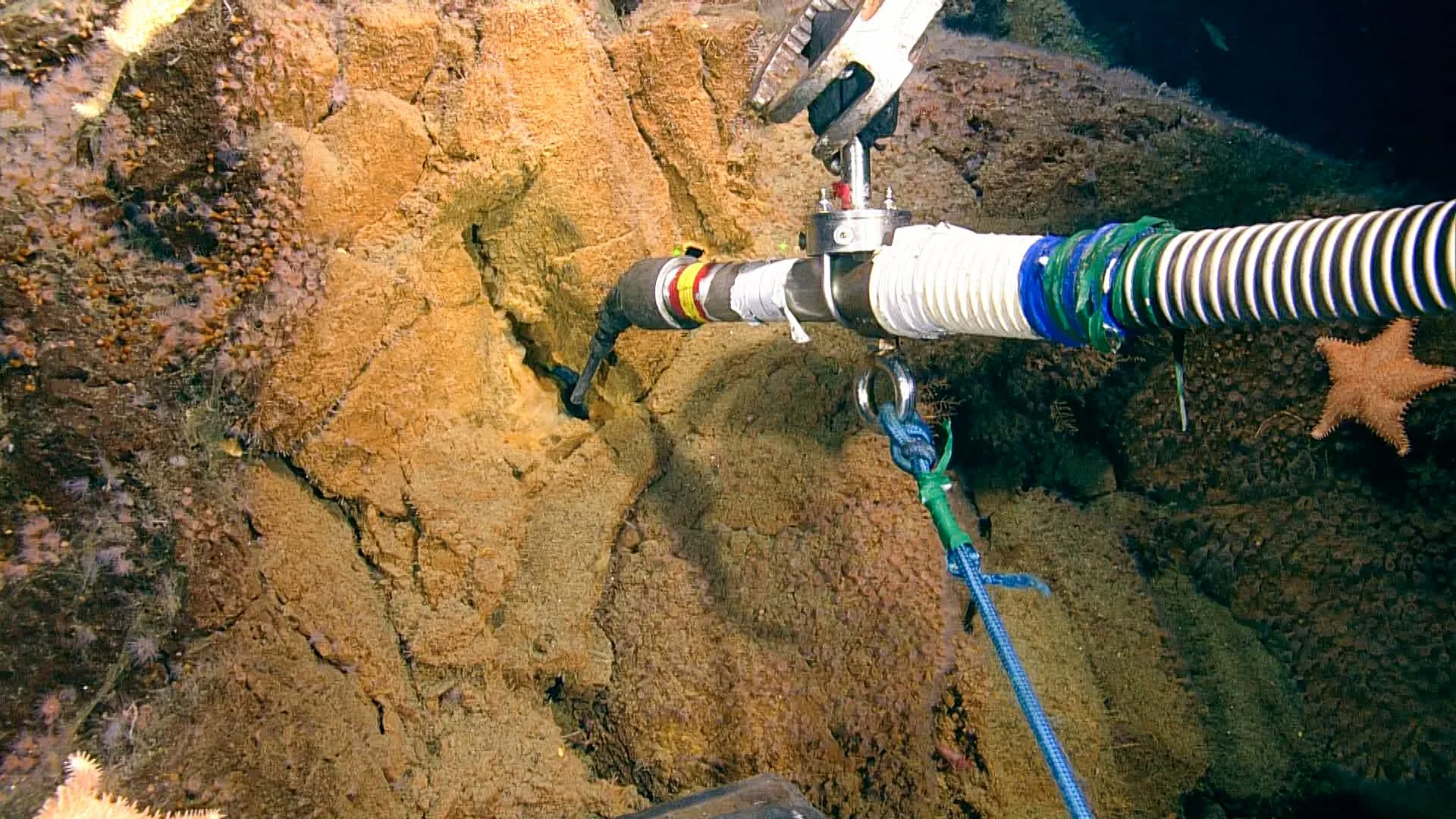 We take measurements at areas of hydrothermal venting (water is warmed in the earth's crust!) using the remotely operated vehicle's temperature probe.