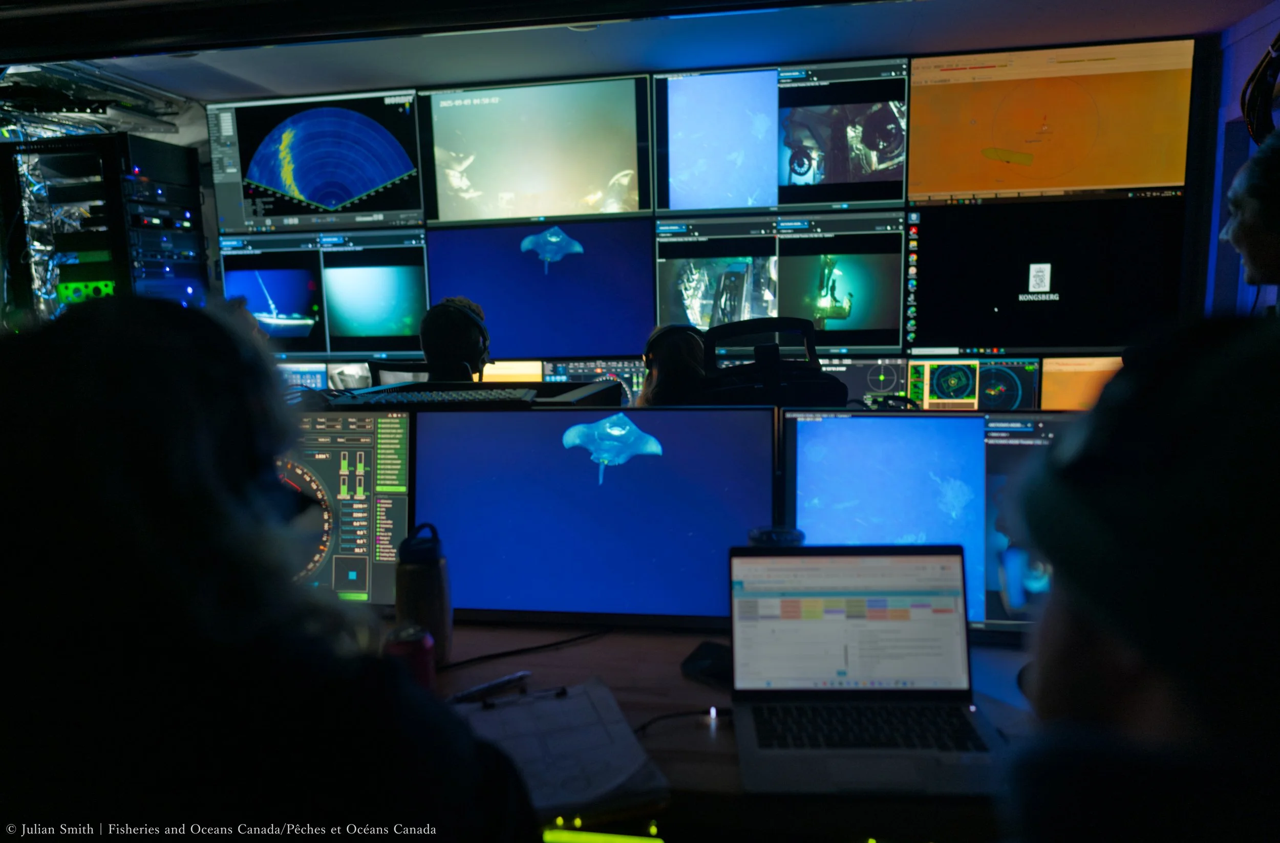 We control the ROV and watch cameras and readings from the control room on the vessel. Incredibly here researchers from Fisheries and Ocean Canada (DFO) and the Council of the Haida Nation (CHN) are witnessing a female Pacific White Skate in the mids