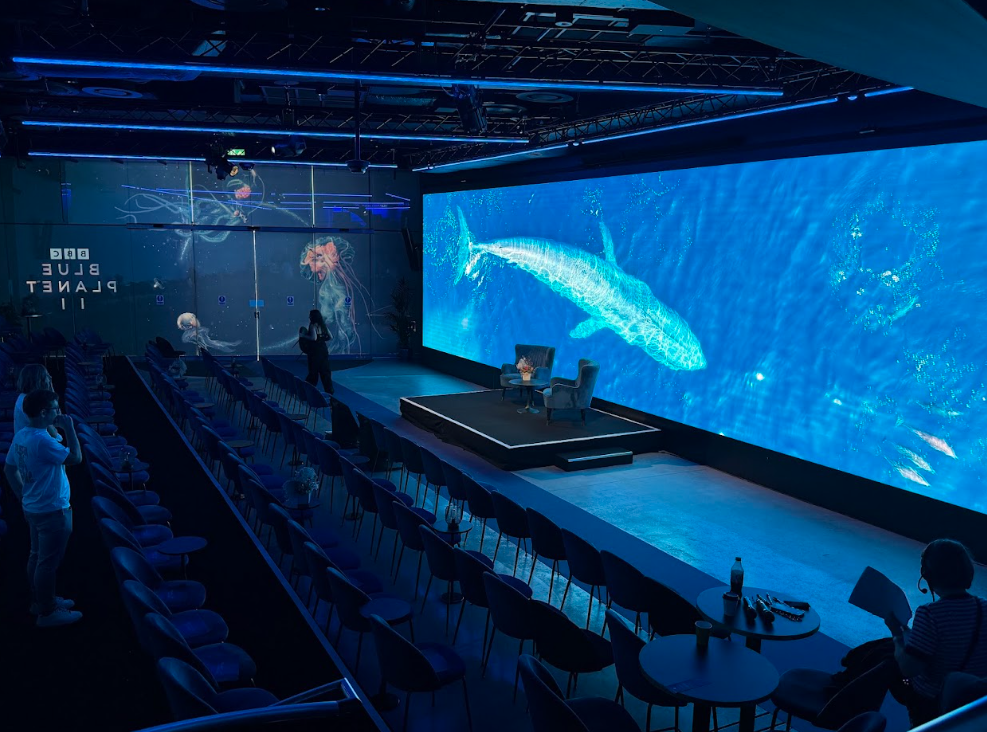 The Venue was an incredible space to host the premiere!