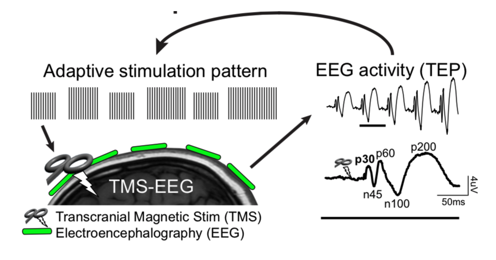Developing a closed-loop TMS platform (NIMH R01 Central Aim)