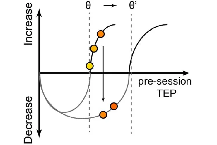 Modeling TMS-EEG changes during rTMS
(Unpublished)