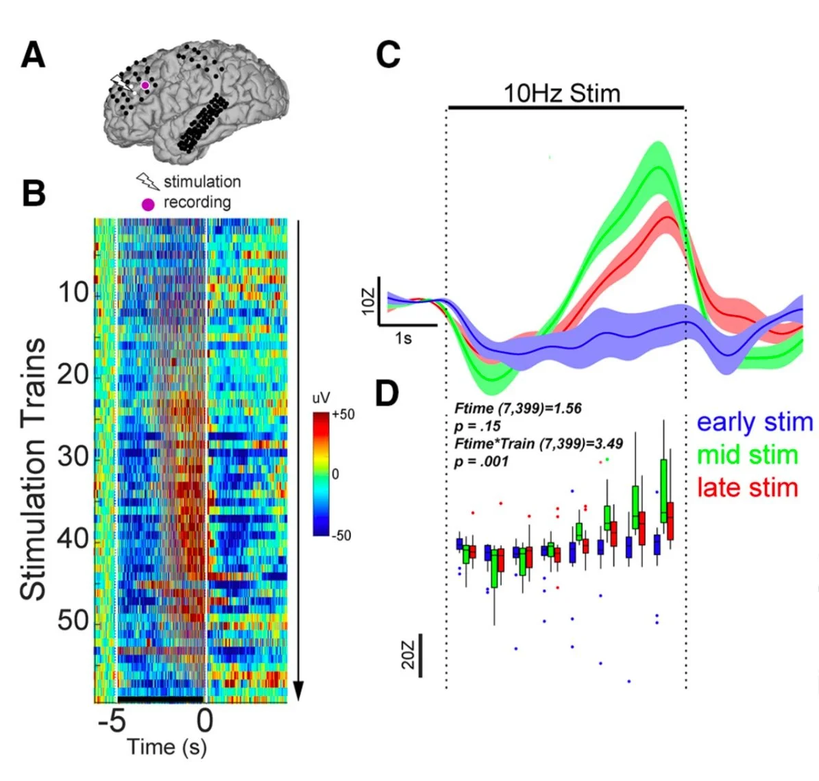 The temporal dynamics during intracranial repetitive stimulation (Huang, et al., Journal of Neuroscience, 2019) 