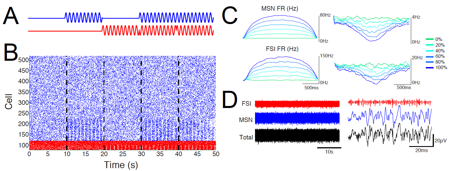 Modeling the spiking contribution to LFPs in the dorsal striatum (Keller et al., PLoS One, 2016)