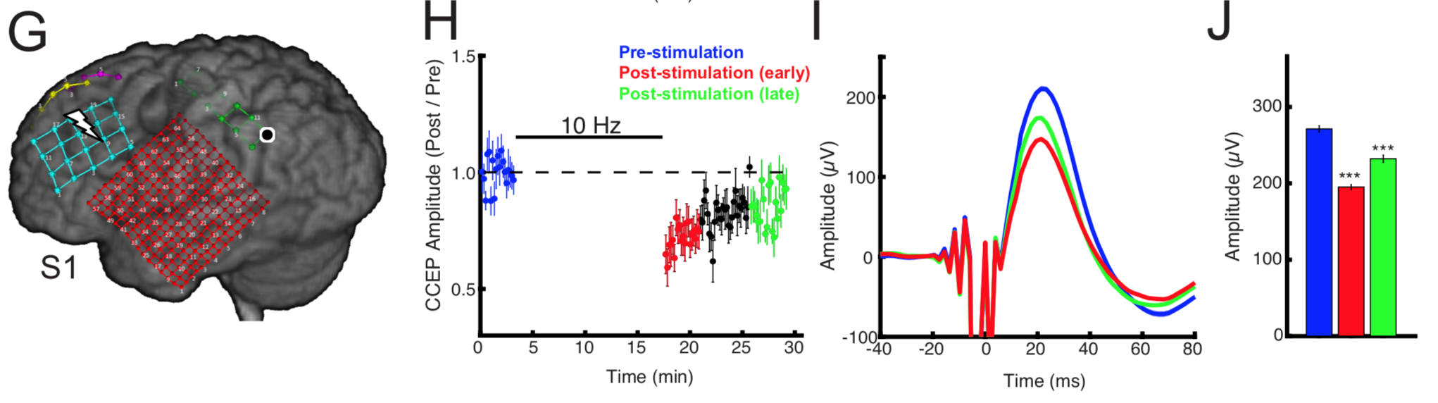 Quantifying evoked potential changes after repetitive stimulation (Huang, Keller, et al., Journal of Neuroscience, 2018)