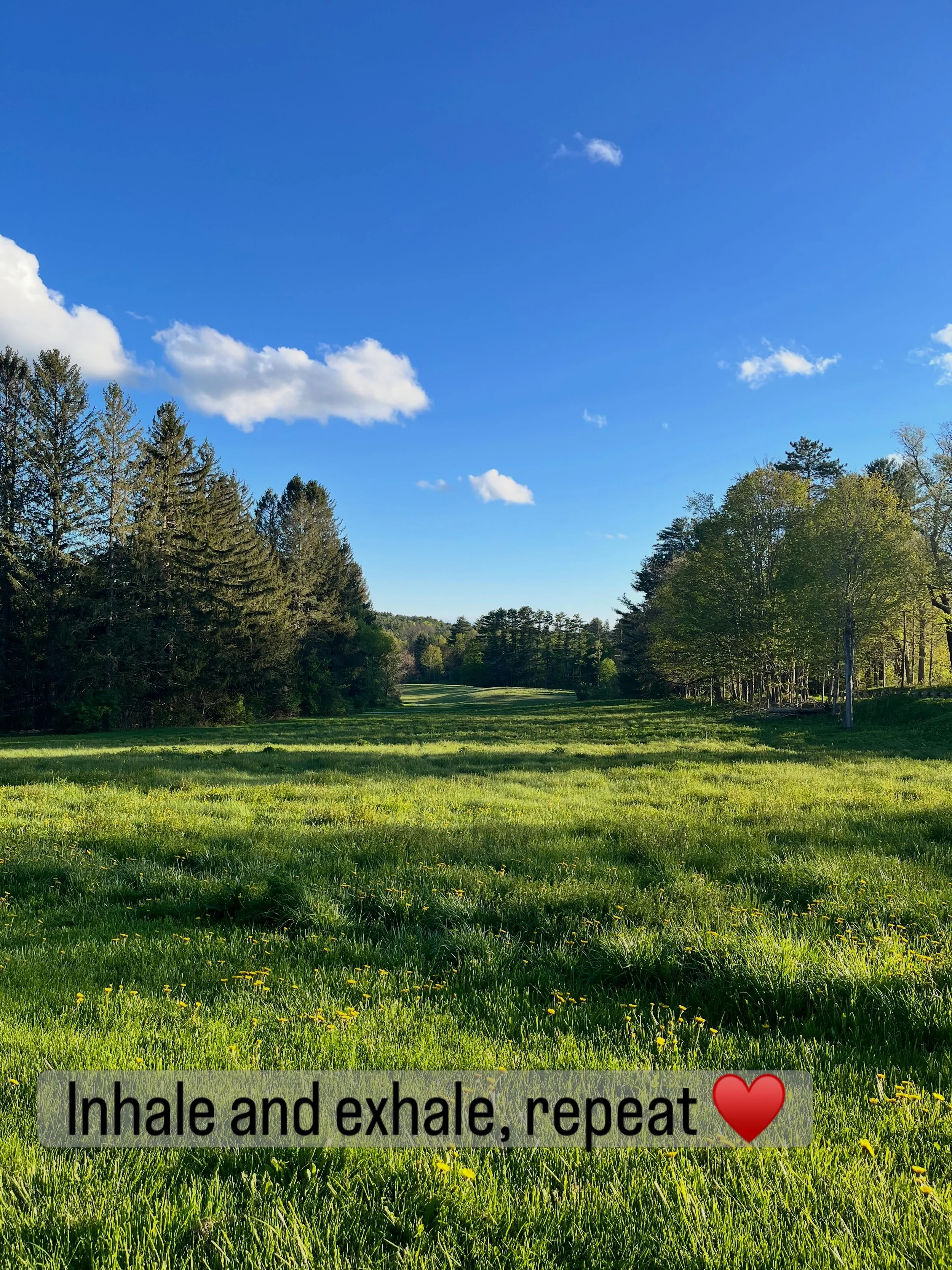 10 days at @kripalucenter for meditation teacher training. Yoga, meditation, pranayama, energy work, loving kindness, and so much more. Am arriving home so deeply grateful for this path, for my teachers, for the beautiful hearts I&rsquo;ve met along 