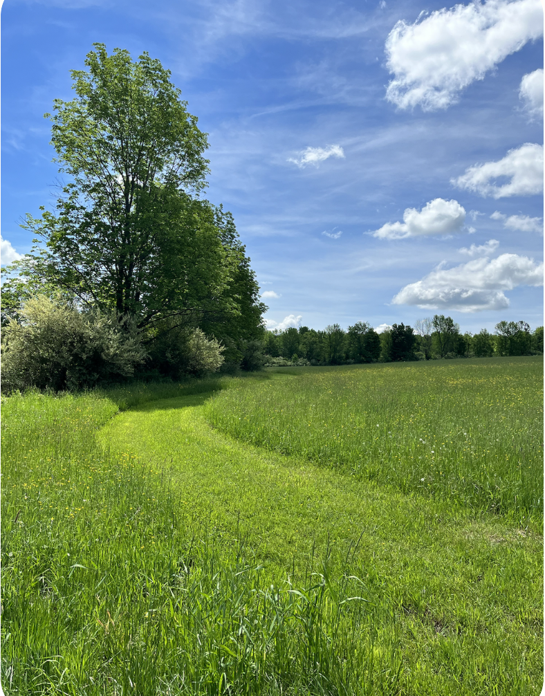Burnout and the Road to Recovery